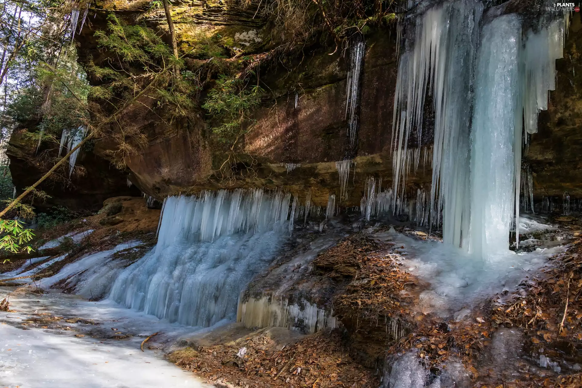 trees, viewes, icicle, Rocks, winter
