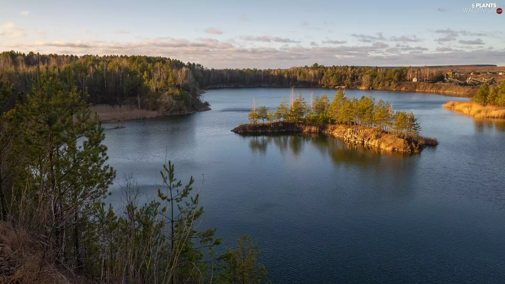 trees, viewes, illuminated, Islet, lake
