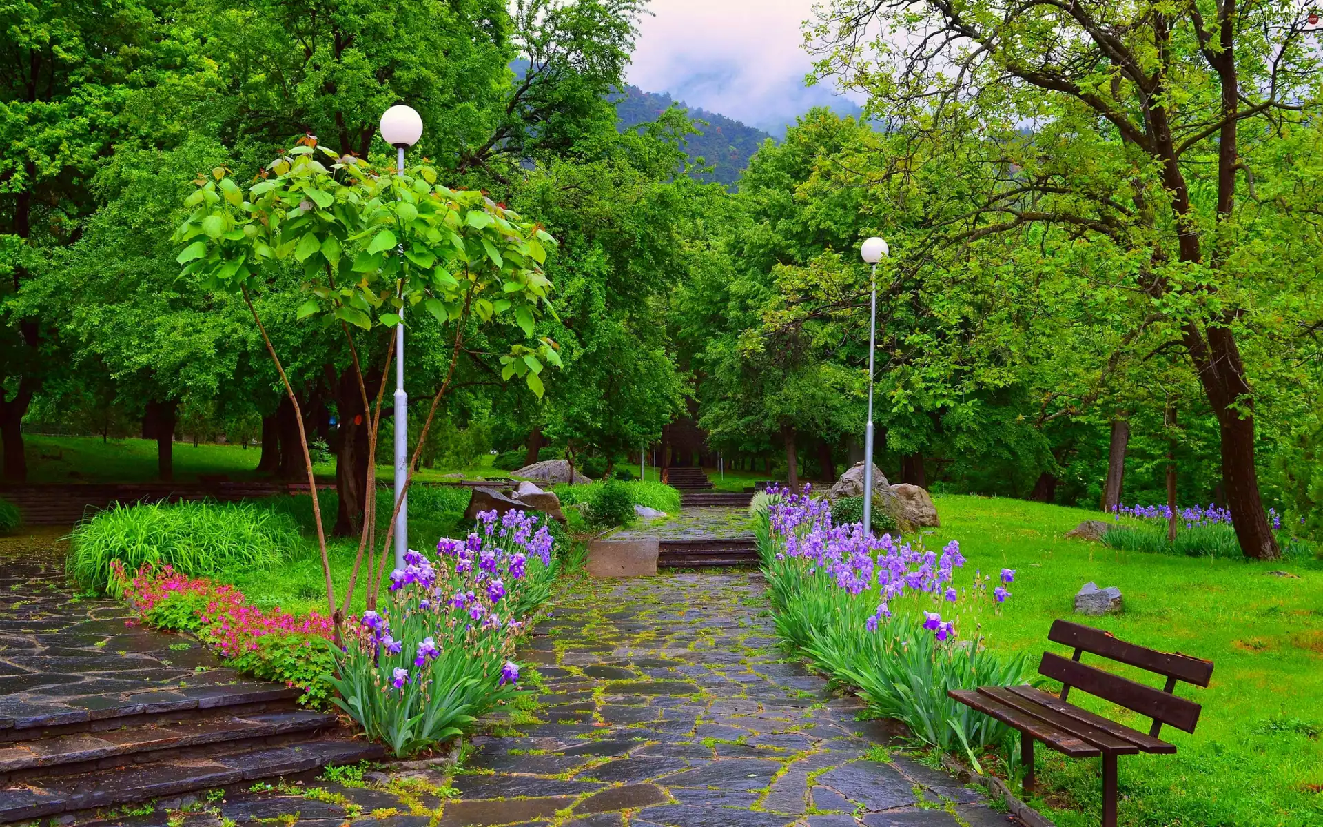 Bench, trees, Irises, viewes, Park, Alleys, lanterns