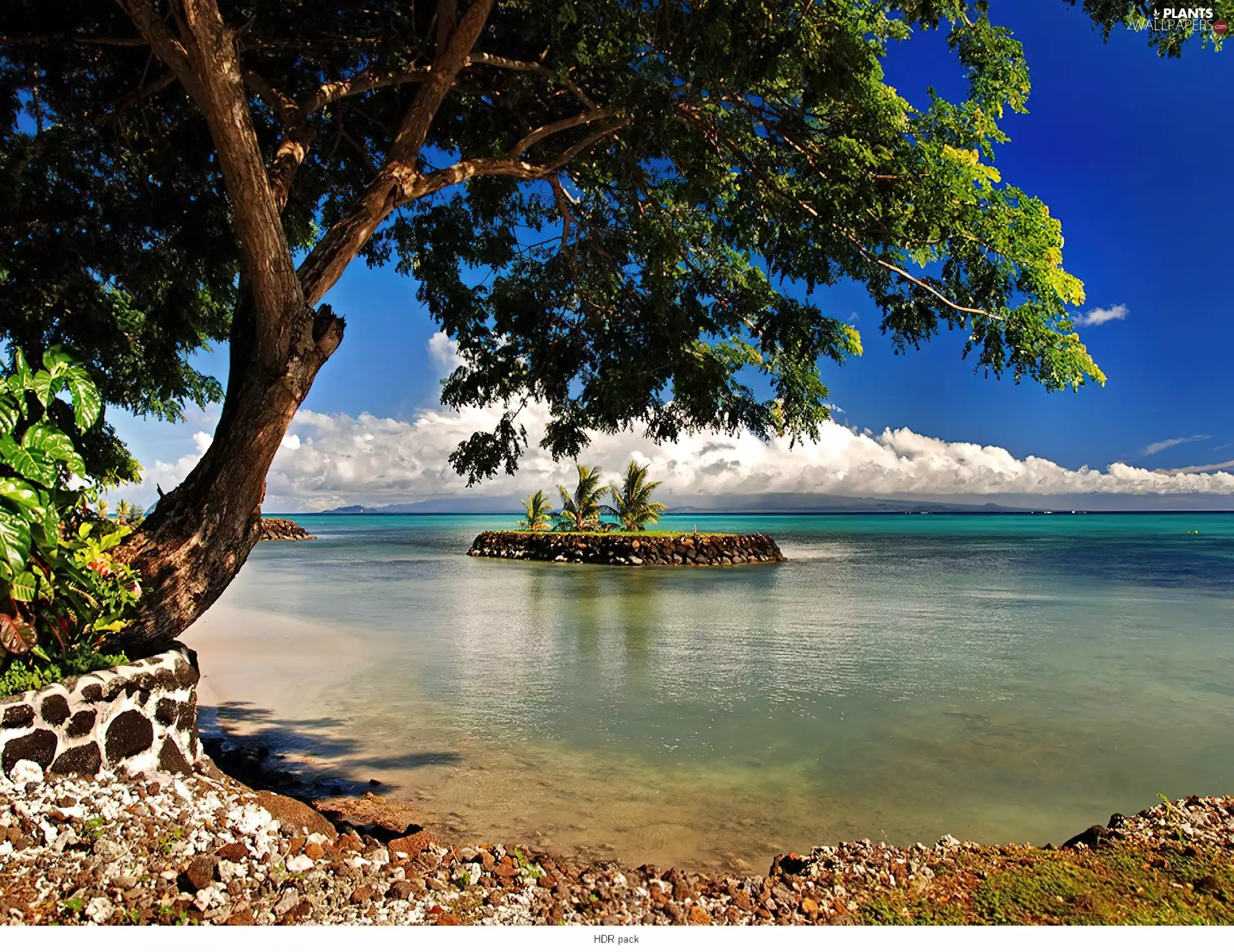 trees, viewes, Islet, sea, Gulf