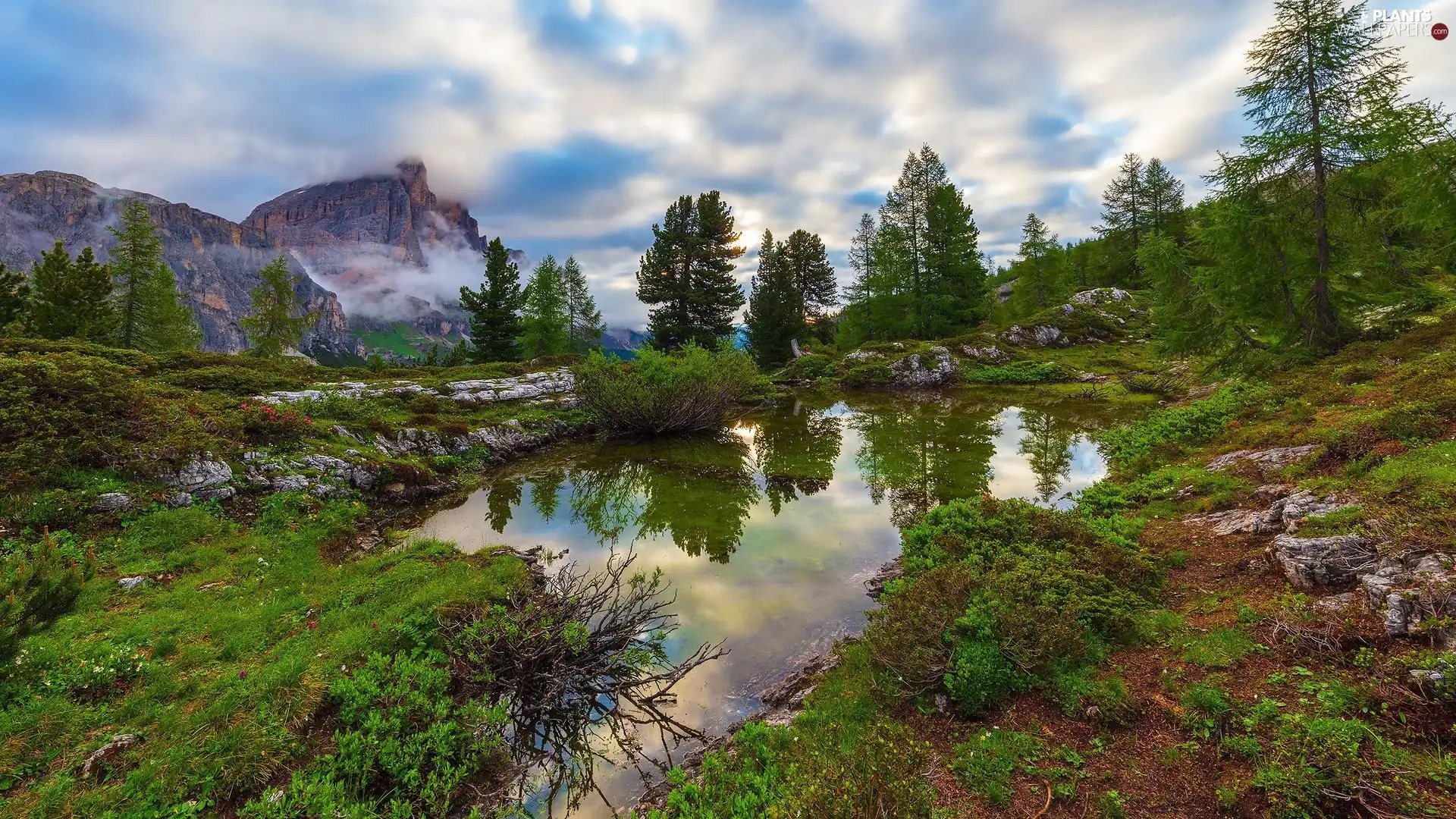 Dolomites, rocks, Italy, trees, Plants, Mountains, puddle, viewes