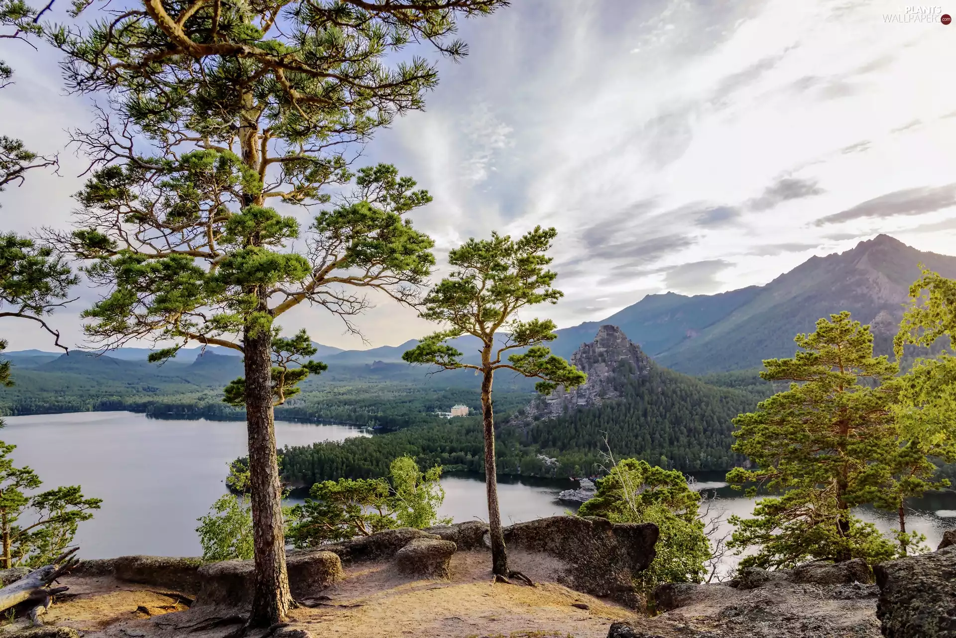 Borovoe Lake, Kazakhstan, viewes, pine, trees, Mountains
