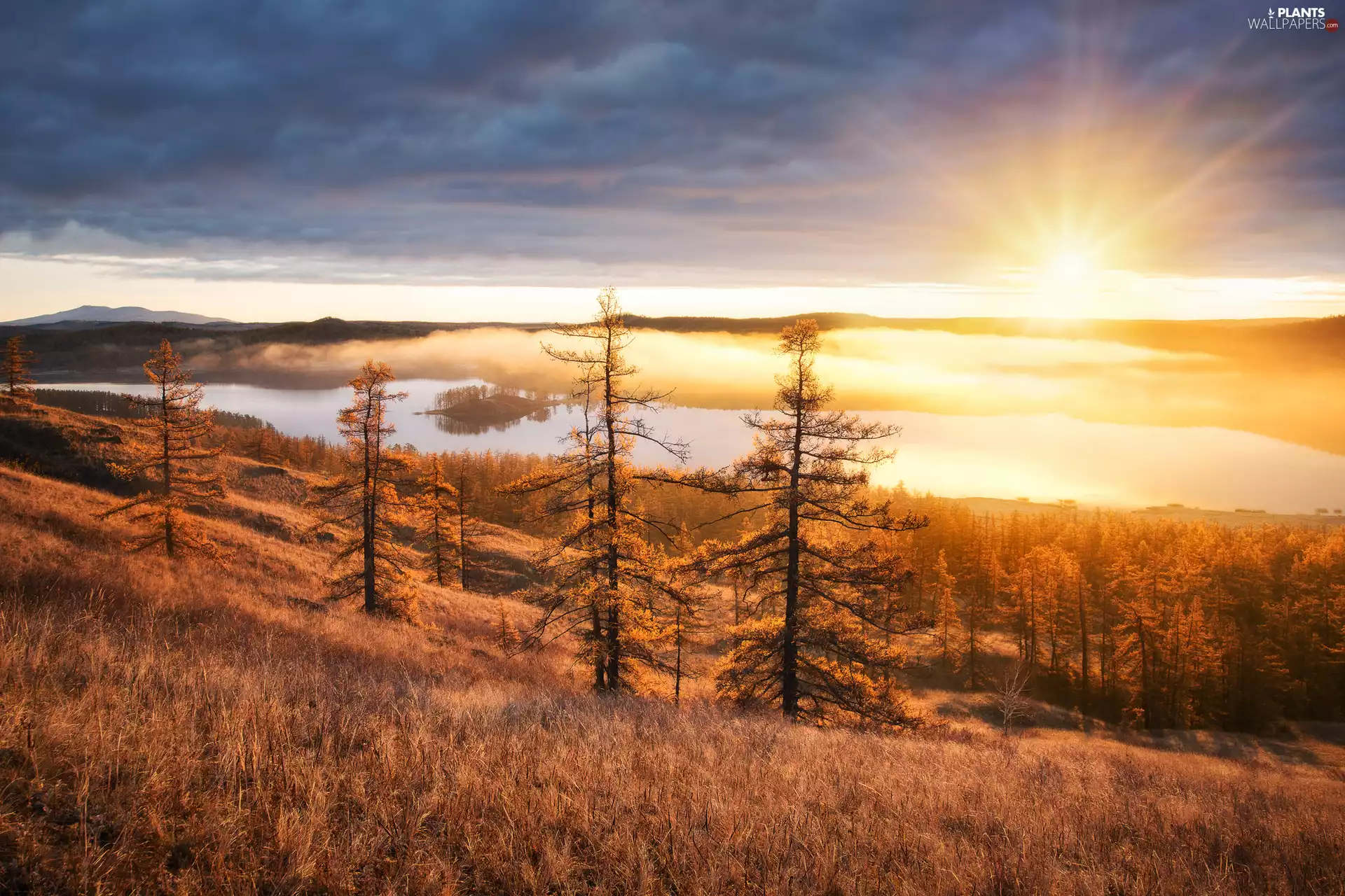 viewes, The Hills, rays of the Sun, Fog, lake, trees