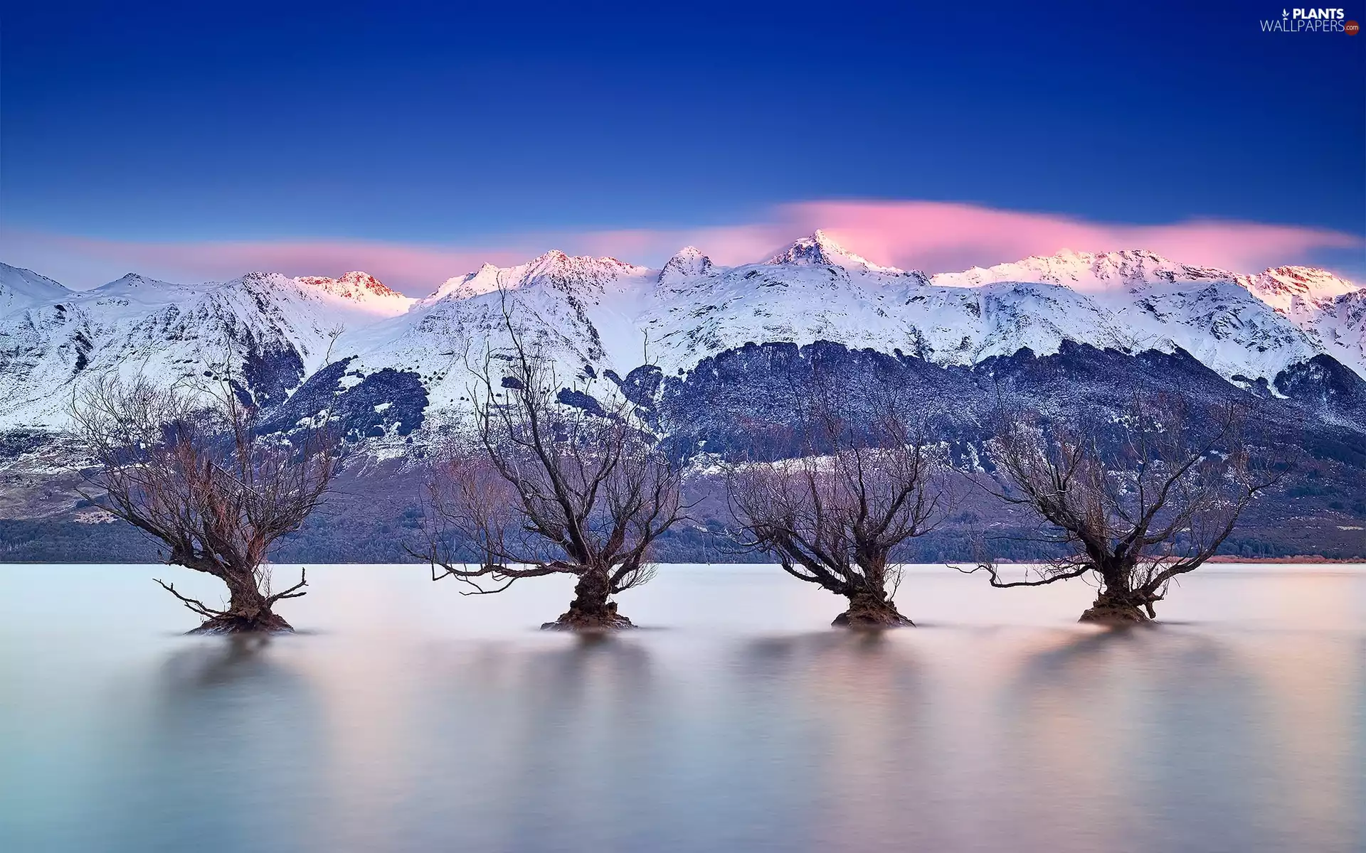 trees, viewes, lake, dry, Mountains
