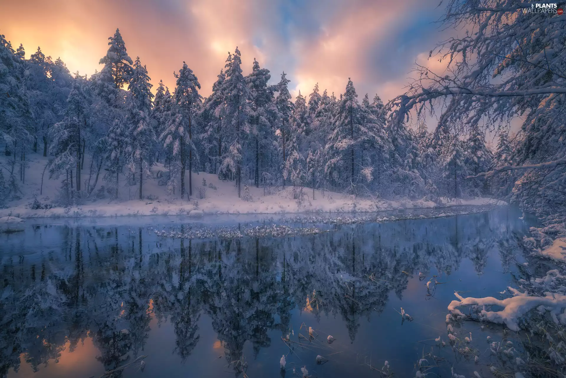 Ringerike Municipality, Norway, snow, winter, trees, viewes, lake, forest, Great Sunsets