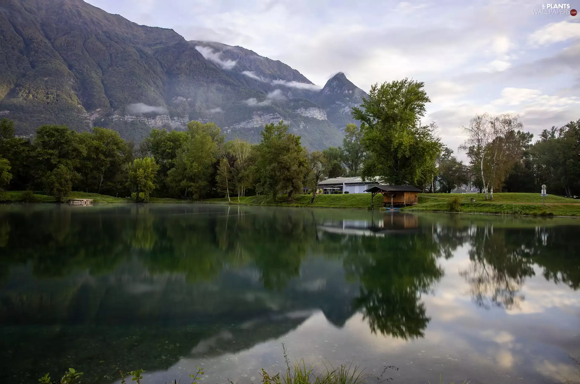 green ones, lake, viewes, Houses, trees, Mountains