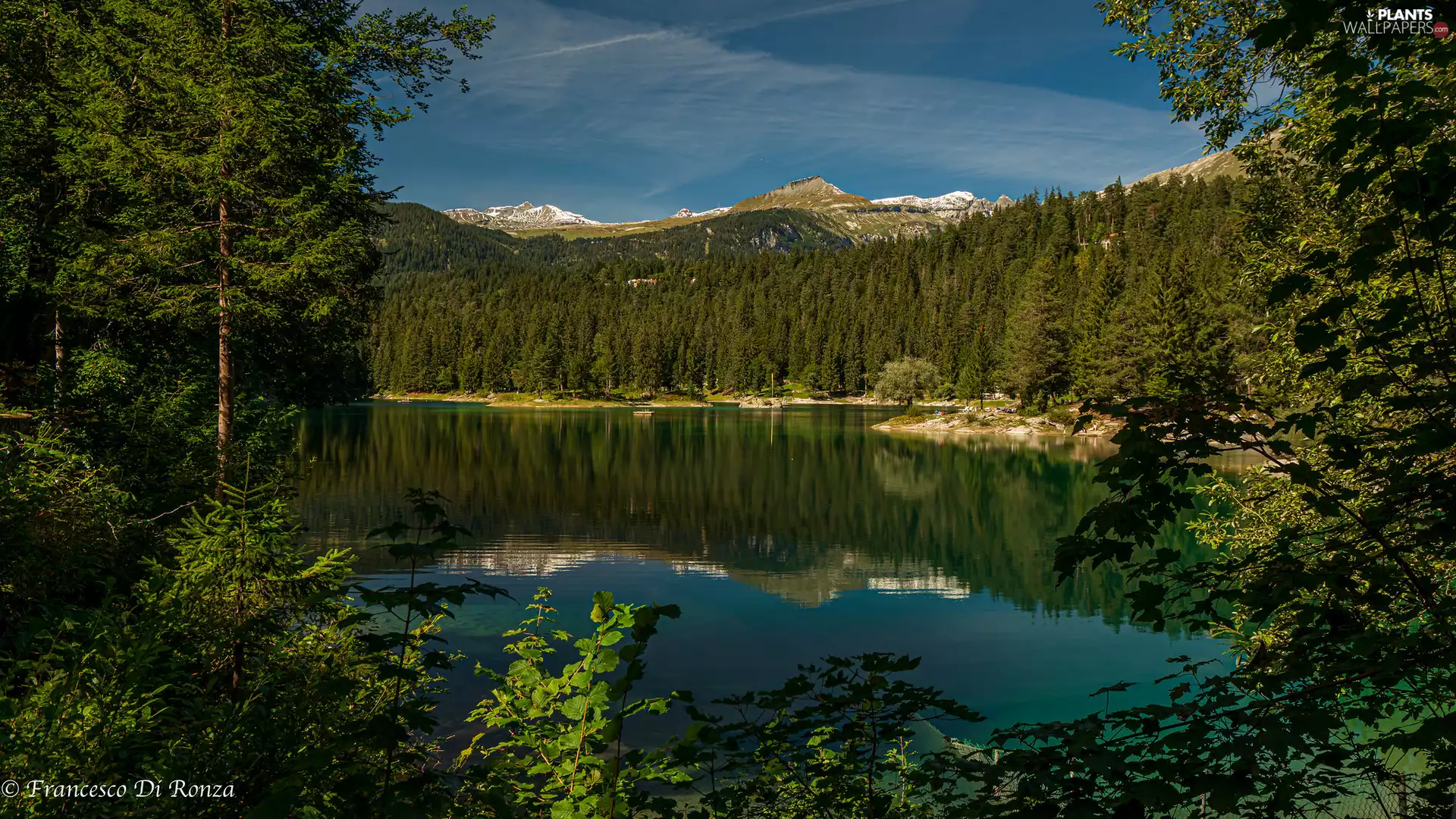 green ones, lake, viewes, reflection, trees, Mountains