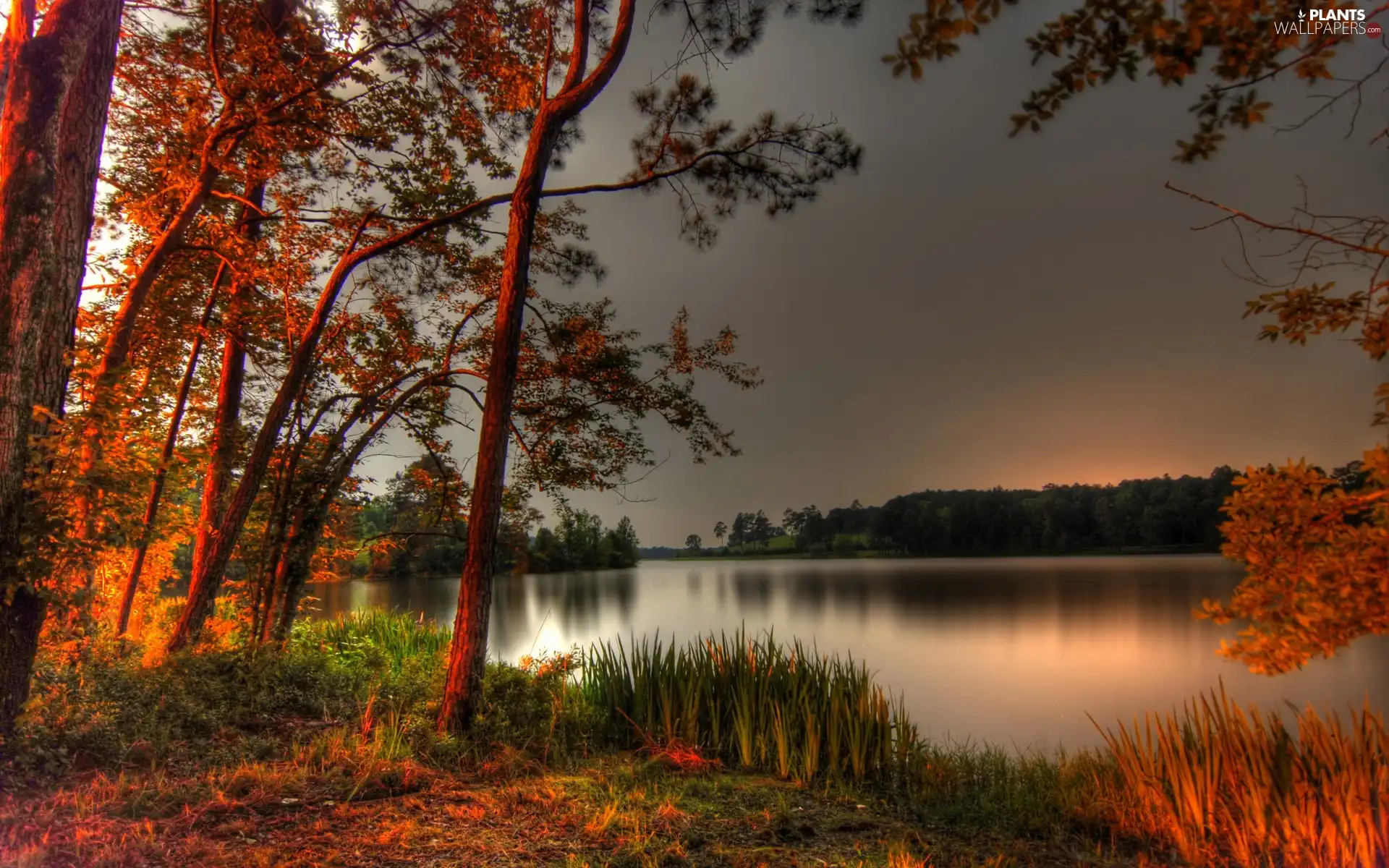 lake, trees, viewes, autumn
