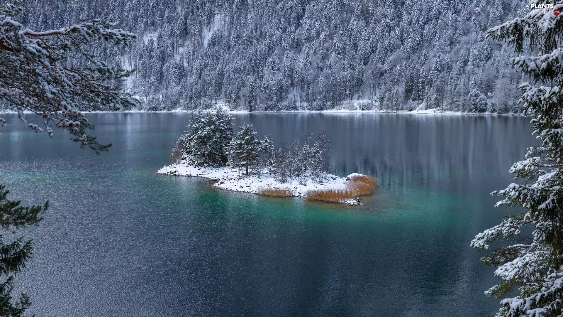 Island, winter, trees, viewes, Snowy, lake