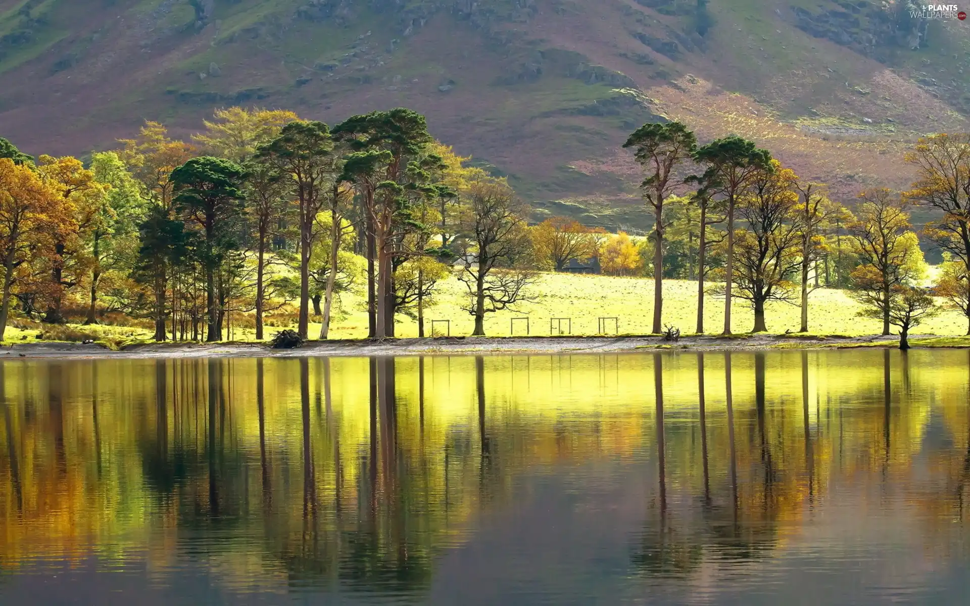 lake, trees, viewes, Mountains