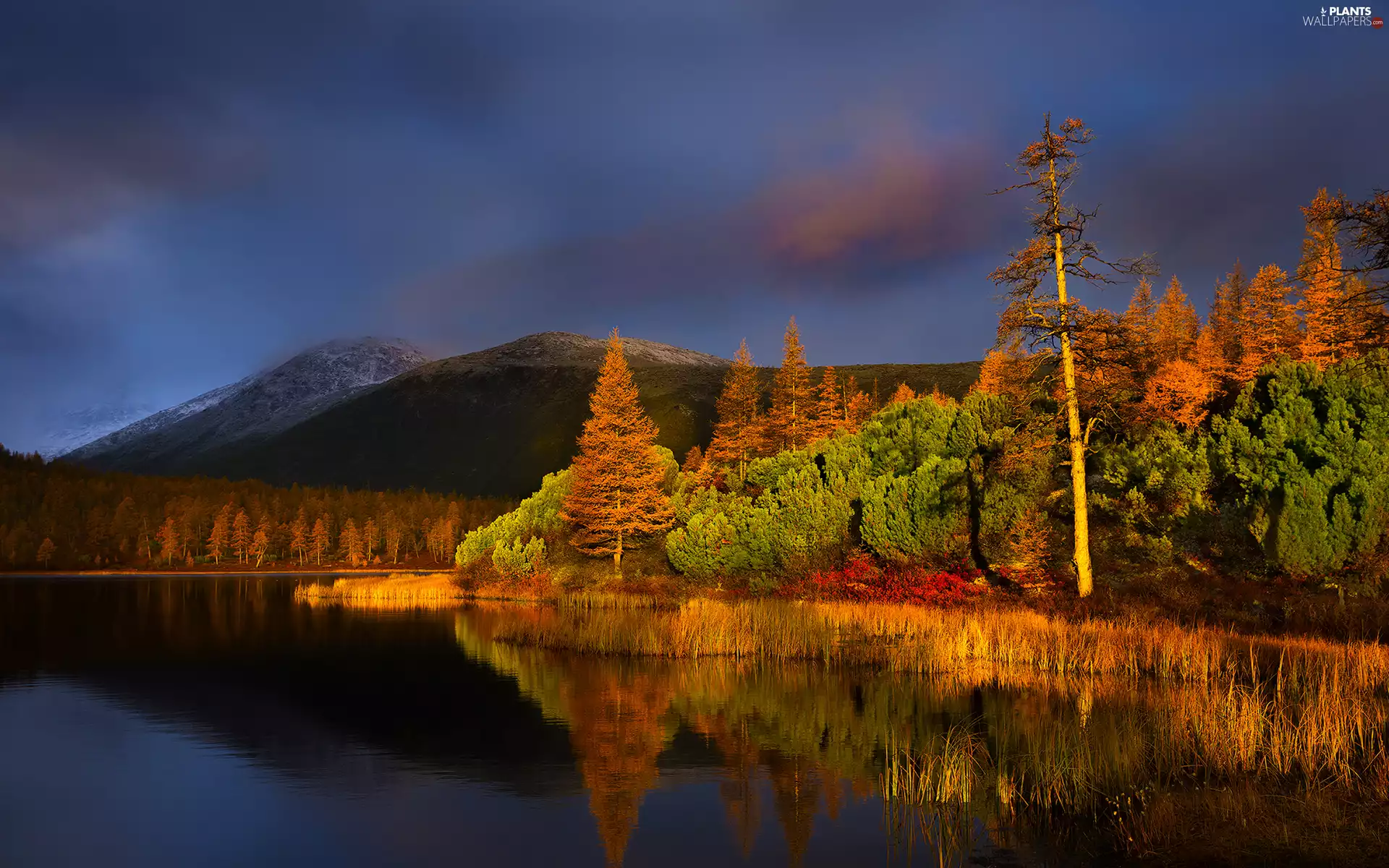 Mountains, autumn, trees, viewes, forest, lake