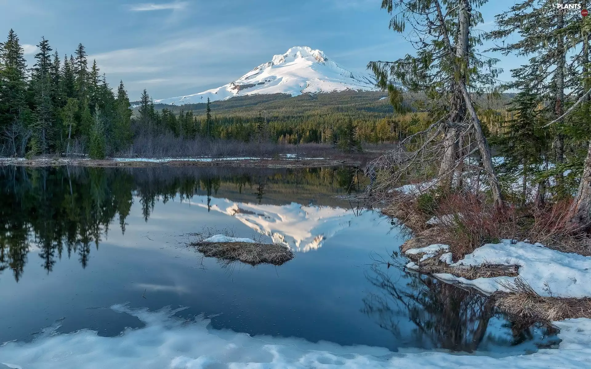 Mountains, winter, trees, viewes, forest, lake