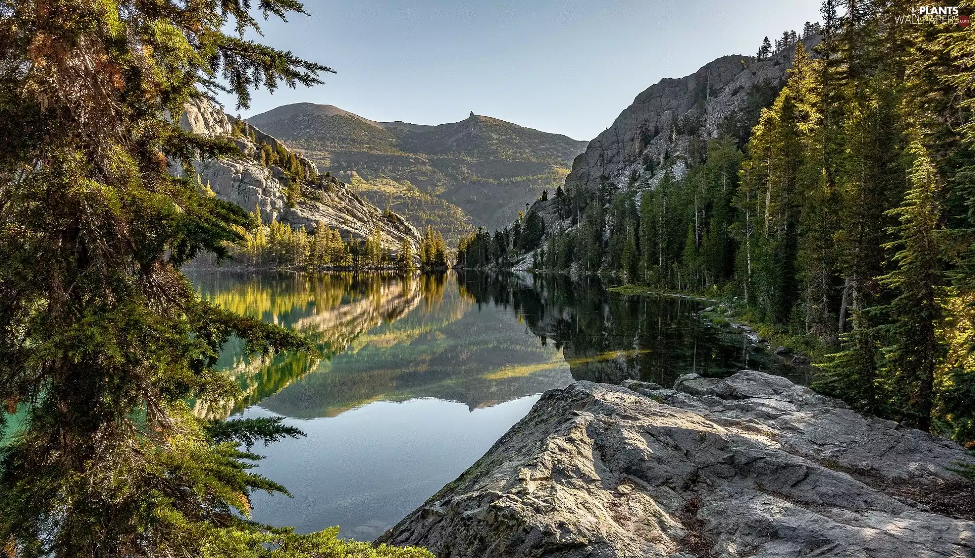 Rocks, Mountains, trees, viewes, woods, lake