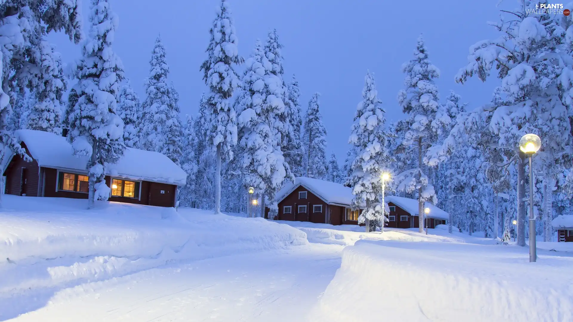 Houses, winter, viewes, lanterns, trees, snow
