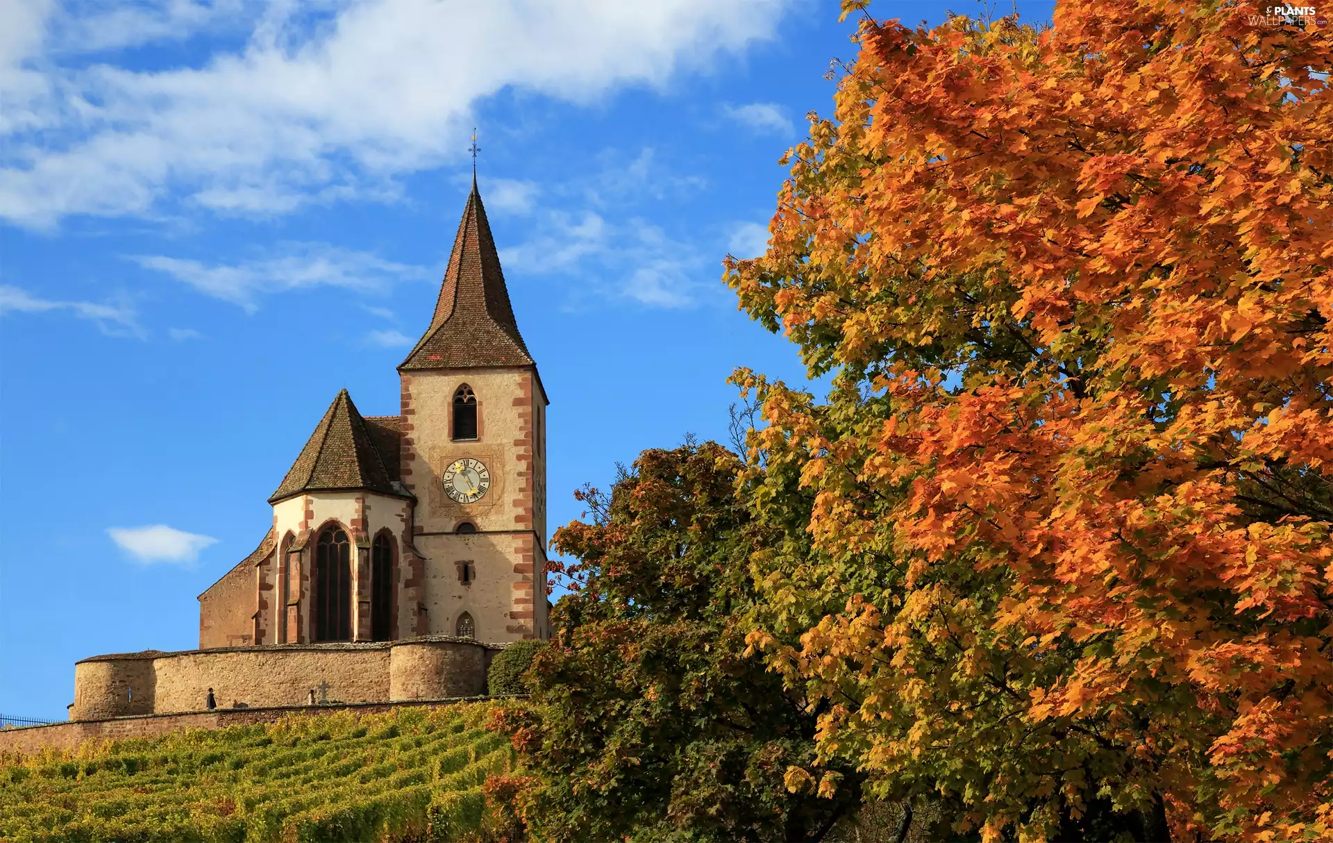 The Church of St. Jacob, France, trees, viewes, Church Saint Jacques le Majeur, Hunawihr City