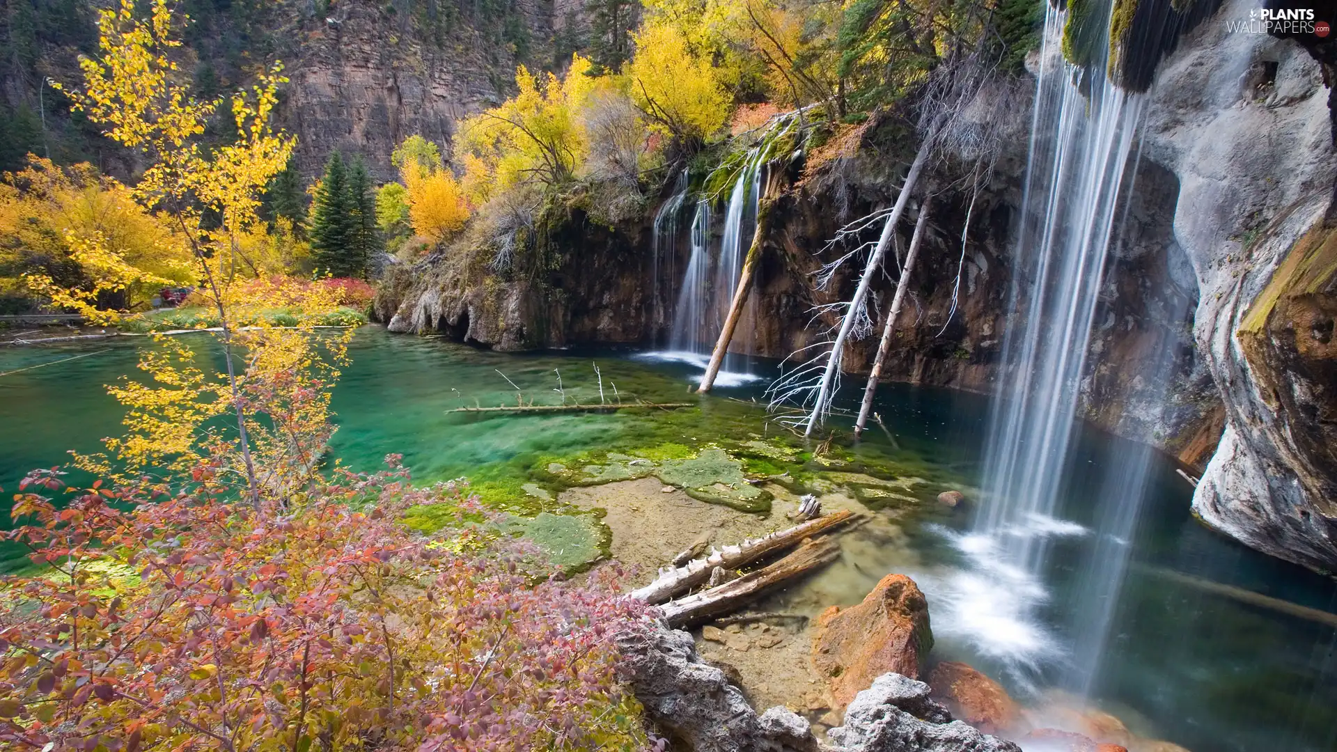 trees, waterfall, color, rocks, autumn, viewes, Leaf