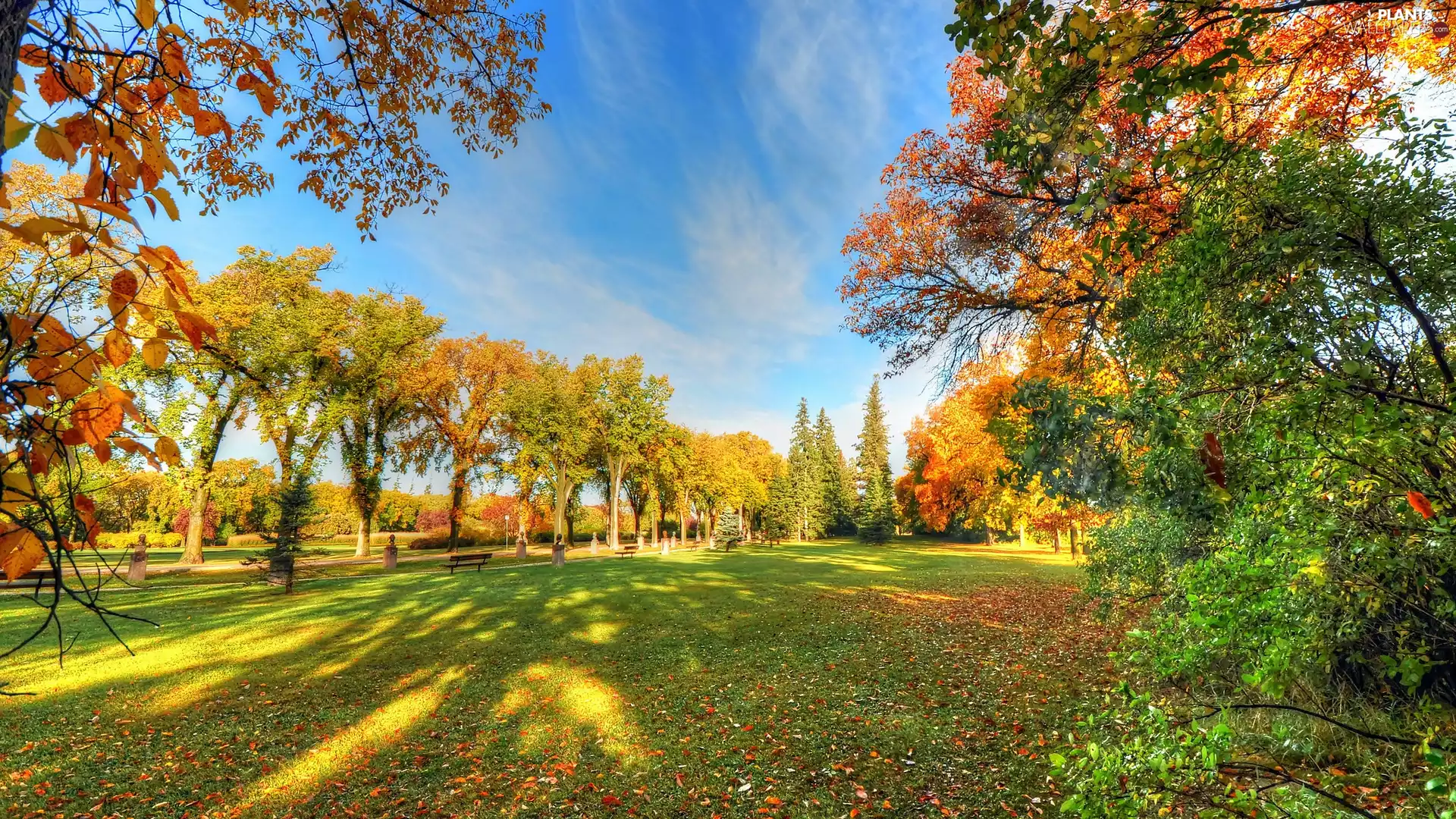 Alleys, trees, Leaf, viewes, Park, bench, autumn