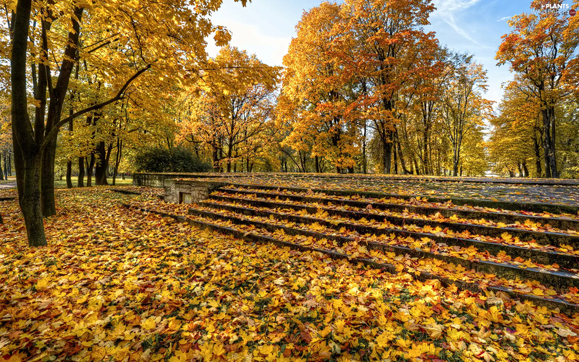 Stairs, trees, Leaf, viewes, Park, Yellowed, autumn