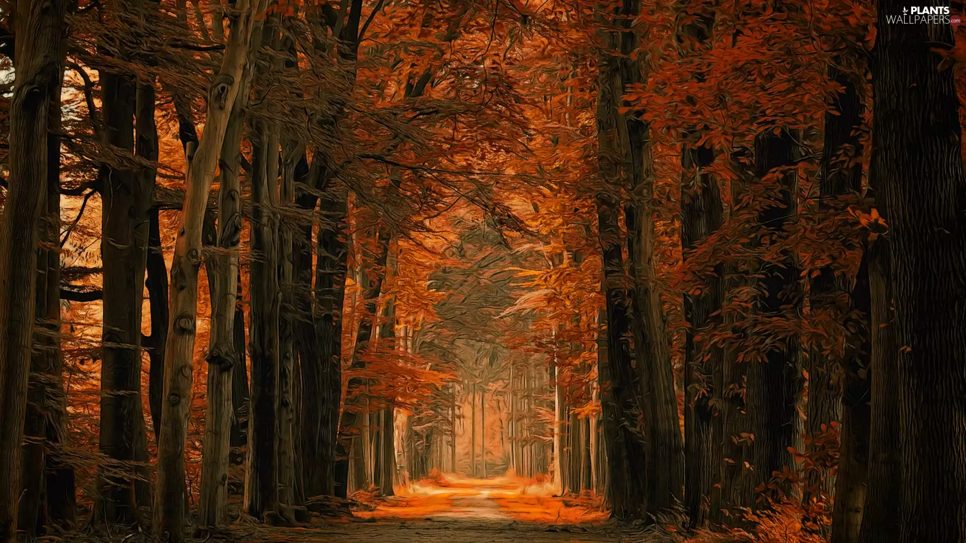 Way, trees, Leaf, viewes, forest, autumn, graphics