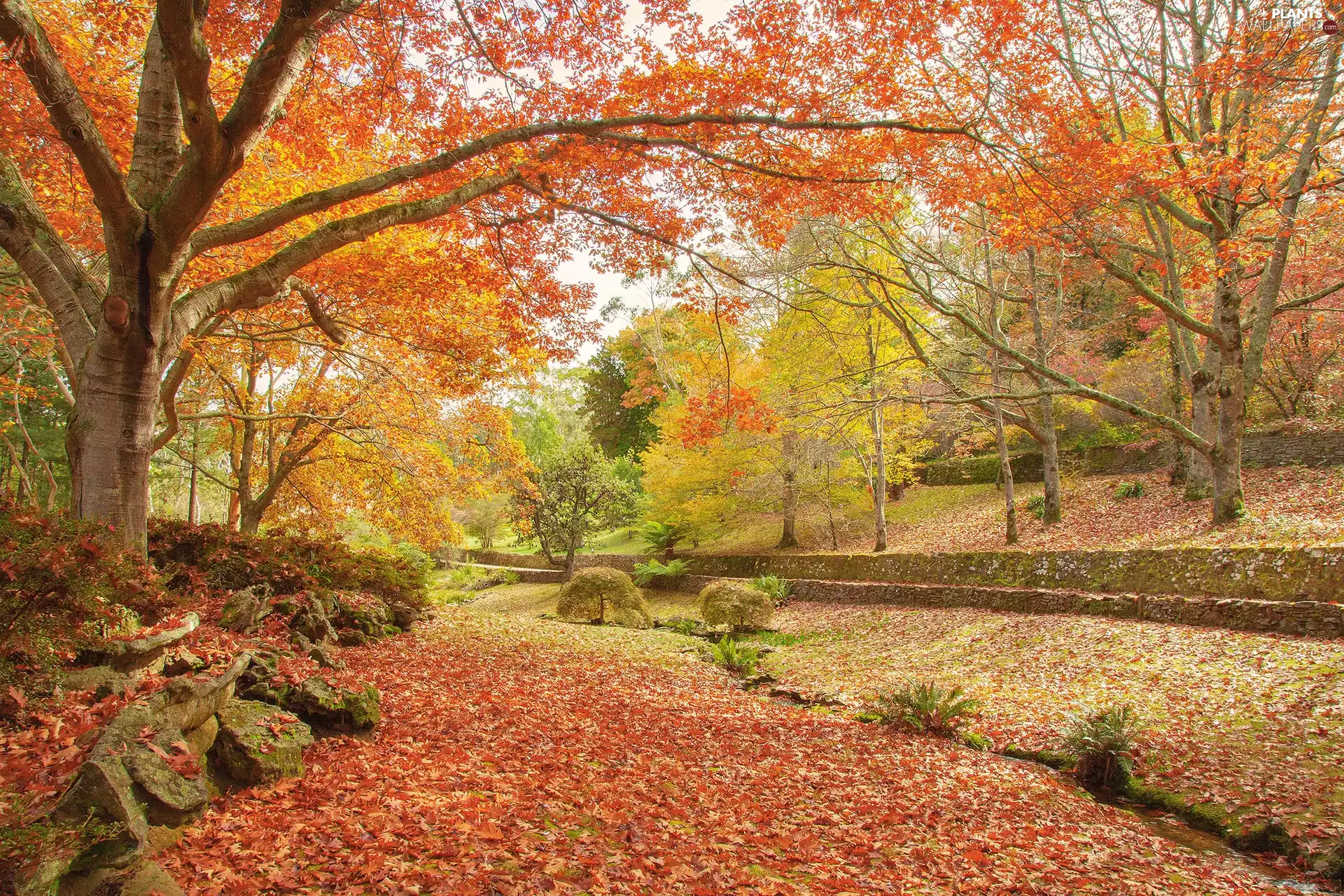 autumn, trees, Leaf, viewes, Park, fallen, Stones