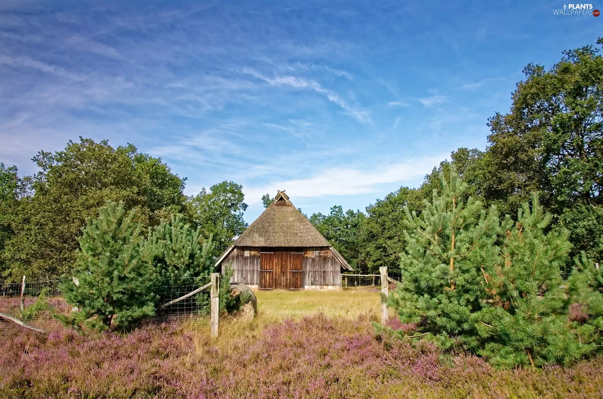 viewes, Barn, Lower Saxony, trees, heath, Lüneburg Heath, Germany