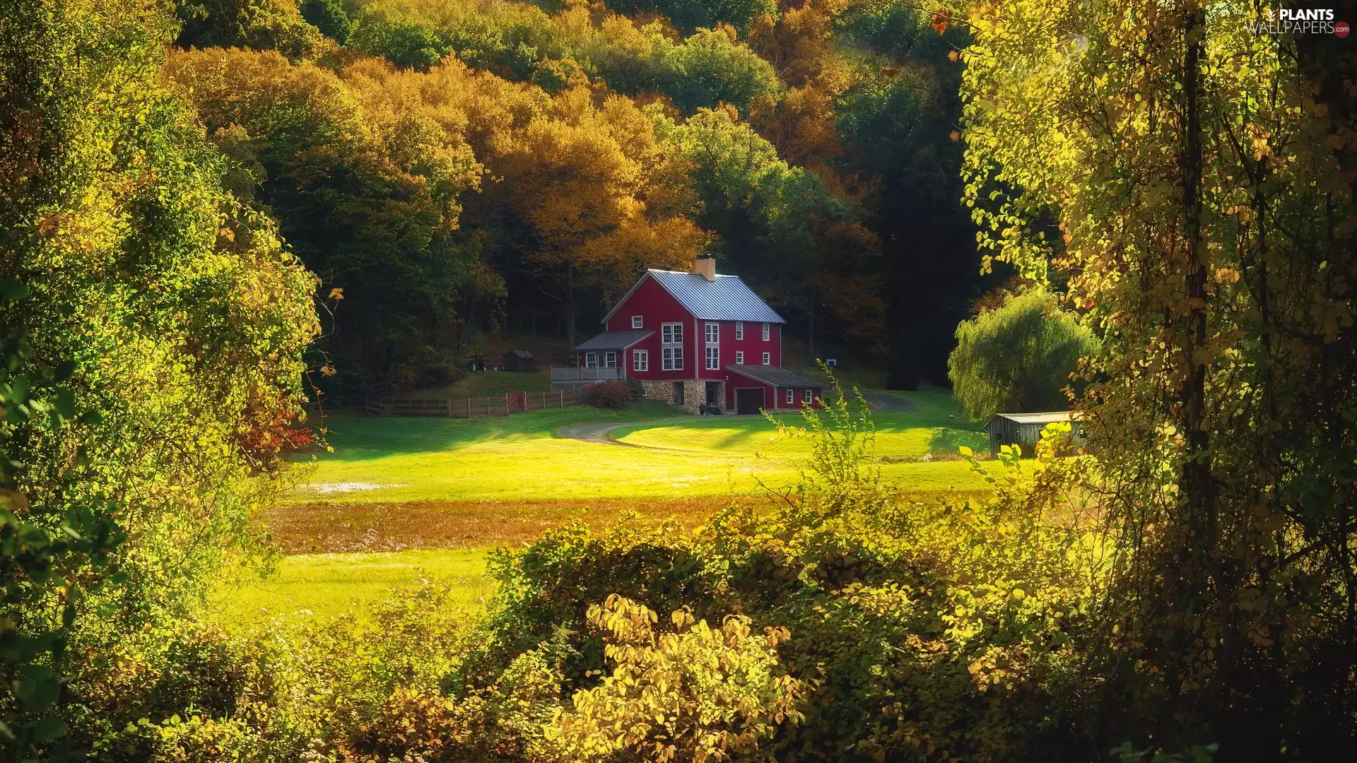 viewes, forest, Red, trees, autumn, car in the meadow, house