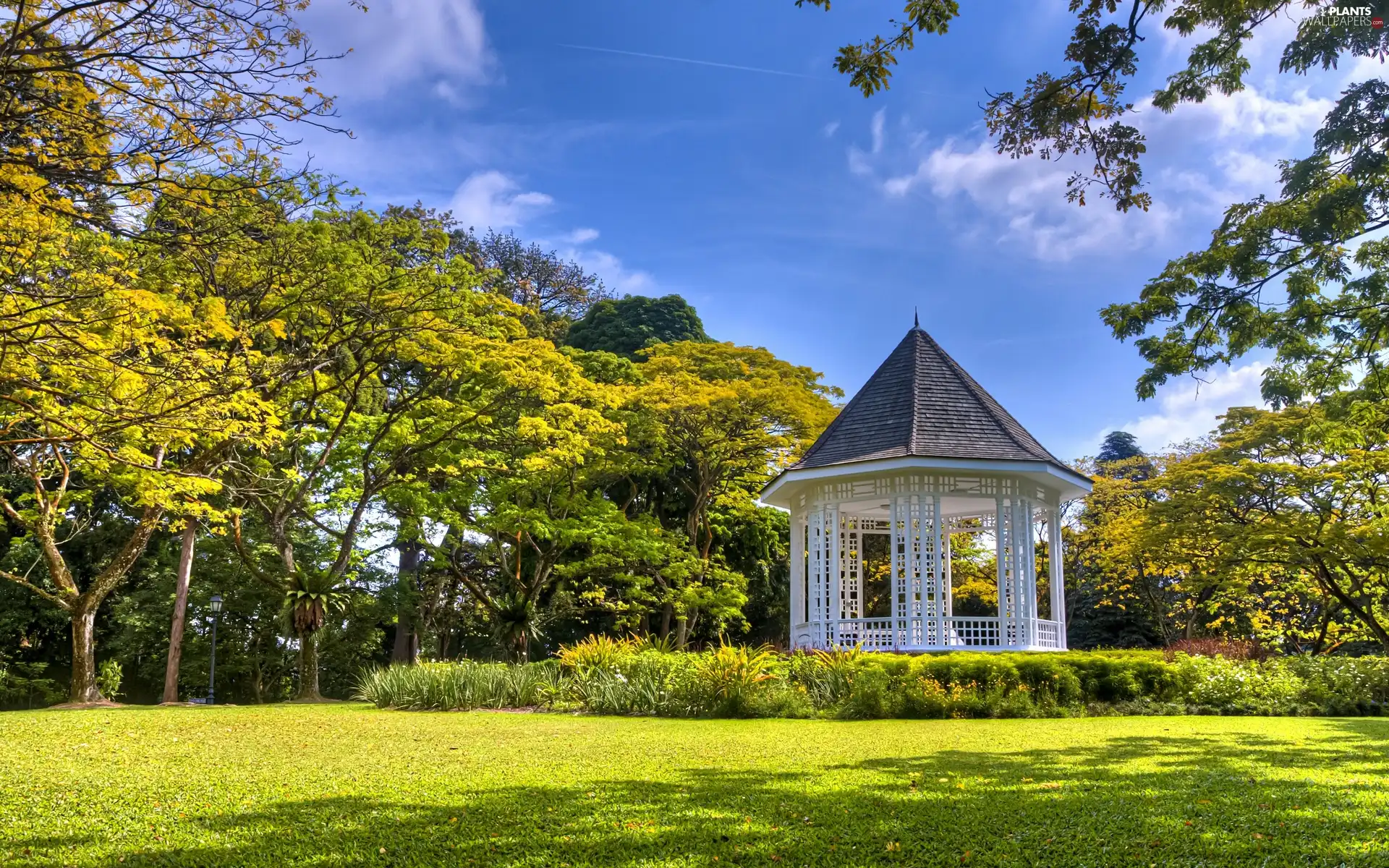 Park, trees, viewes, arbour