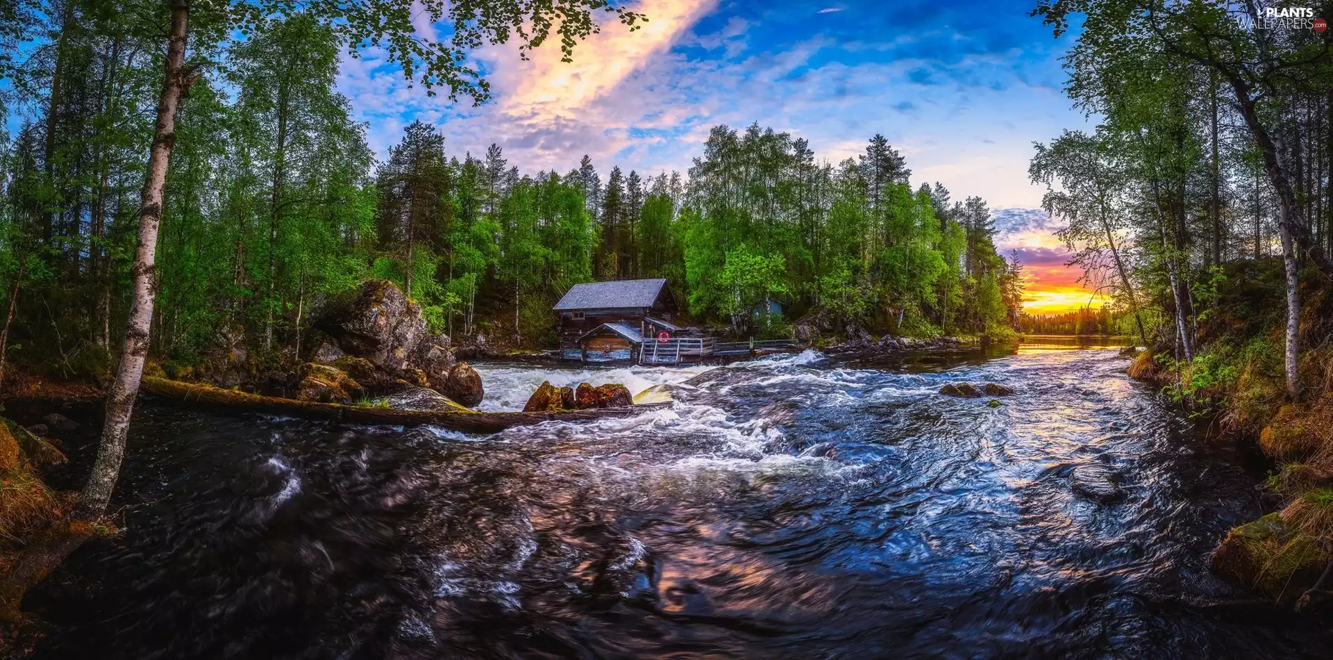 forest, wooden, Lapland, viewes, Finland, Oulanka National Park, Myllykoski Mill, Sunrise, trees, River