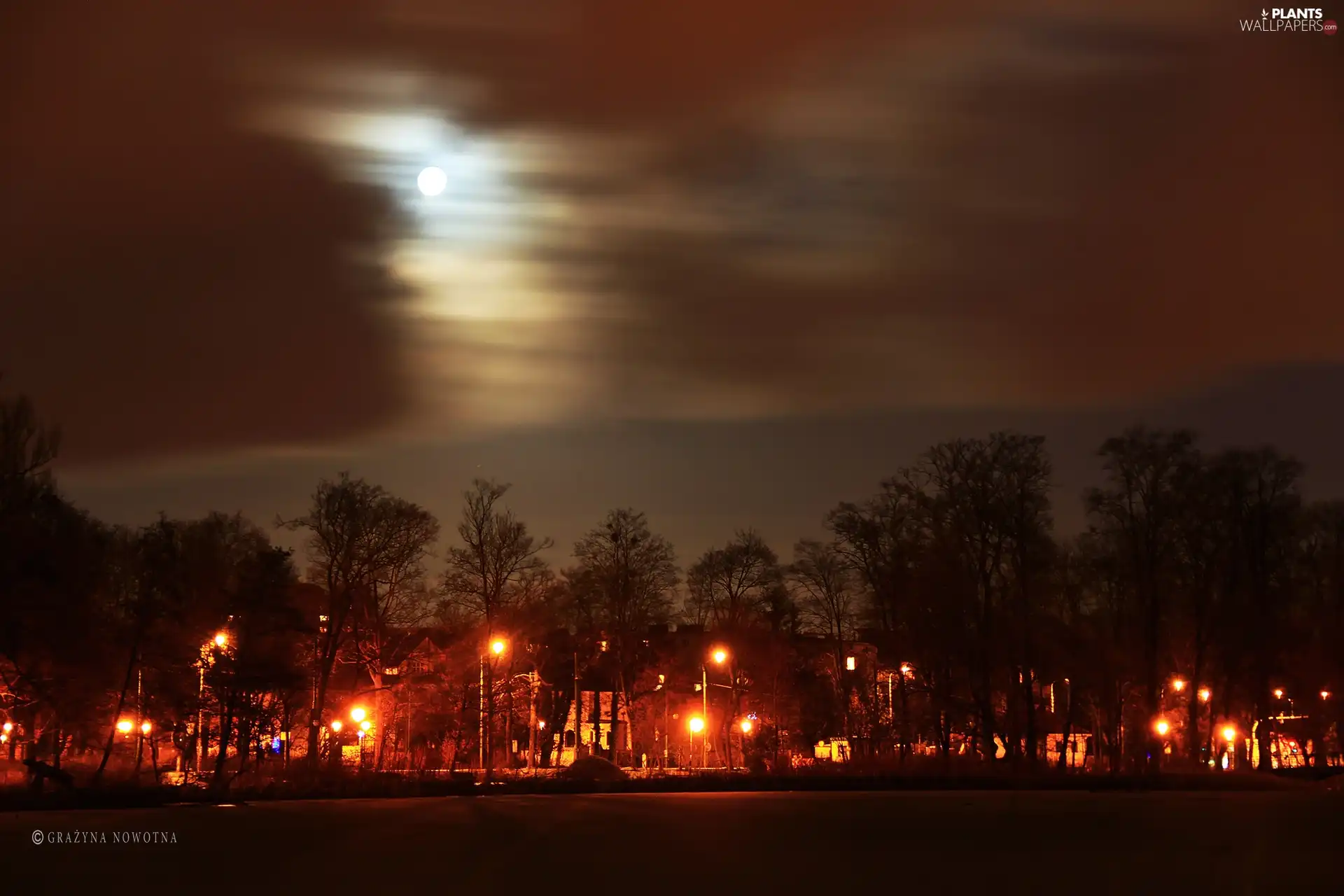 viewes, moon, evening, trees, Park