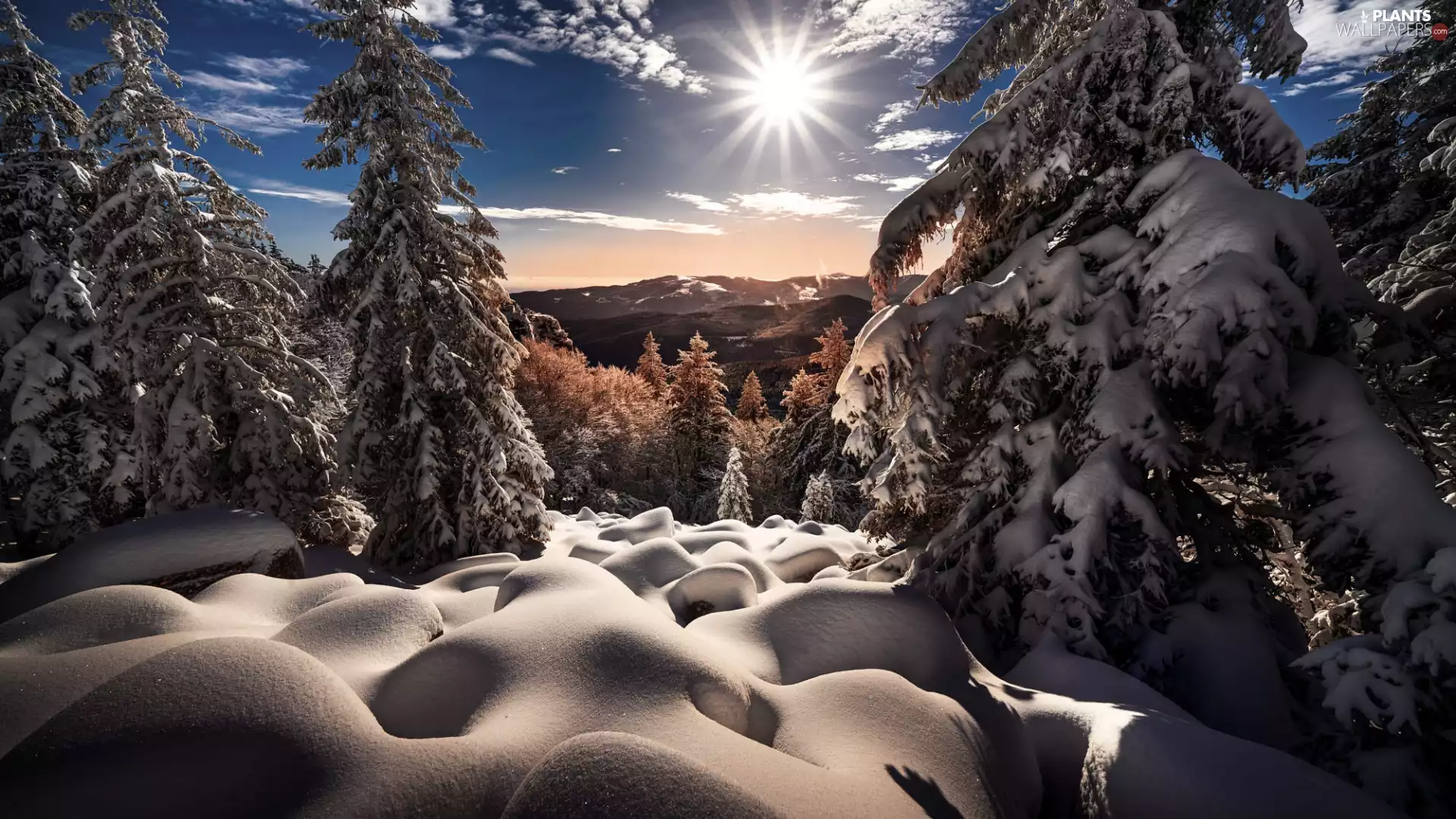 snow, trees, rays of the Sun, viewes, morning, sun, winter, Mountains