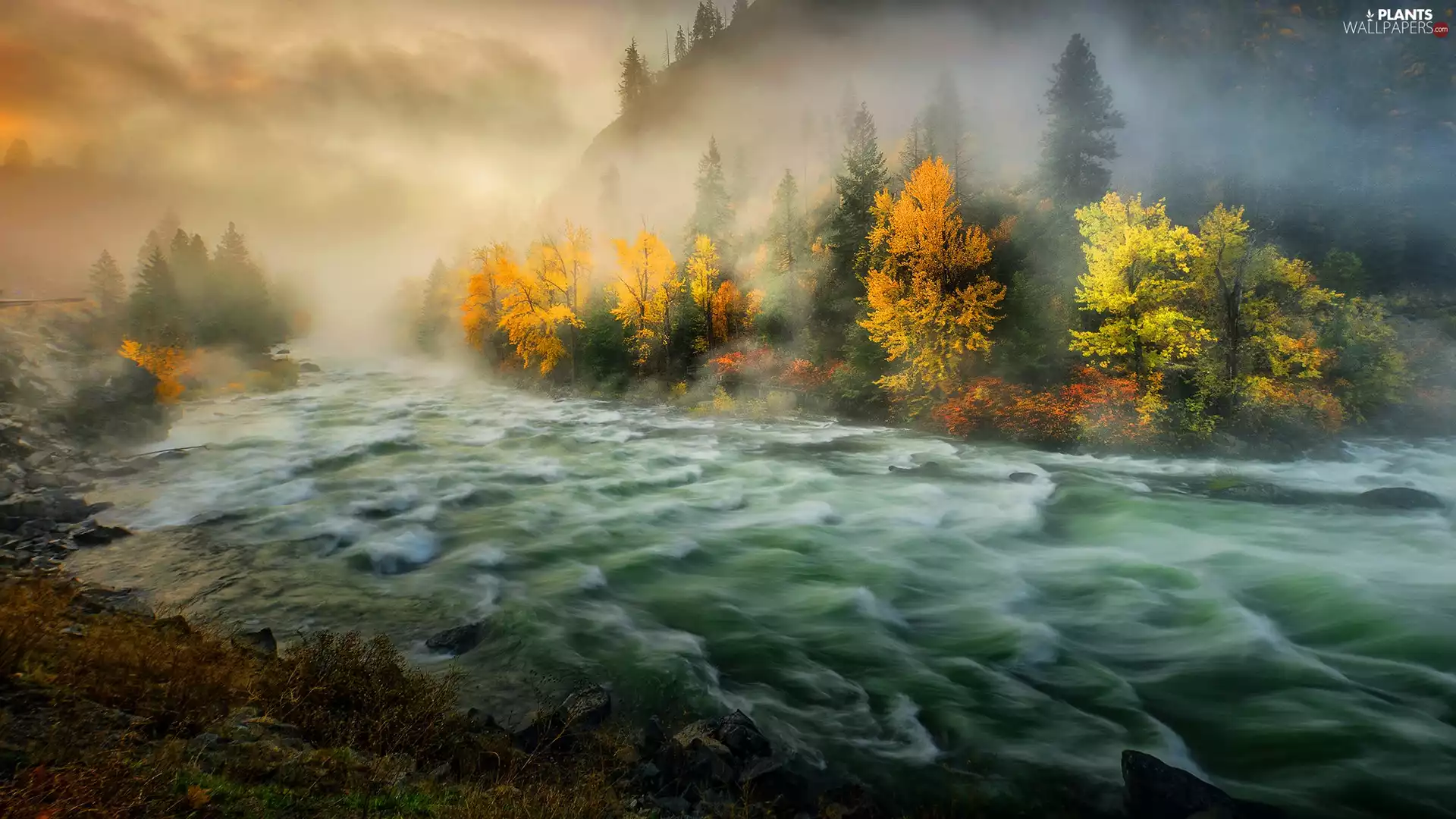 Fog, trees, morning, viewes, autumn, Mountains, River