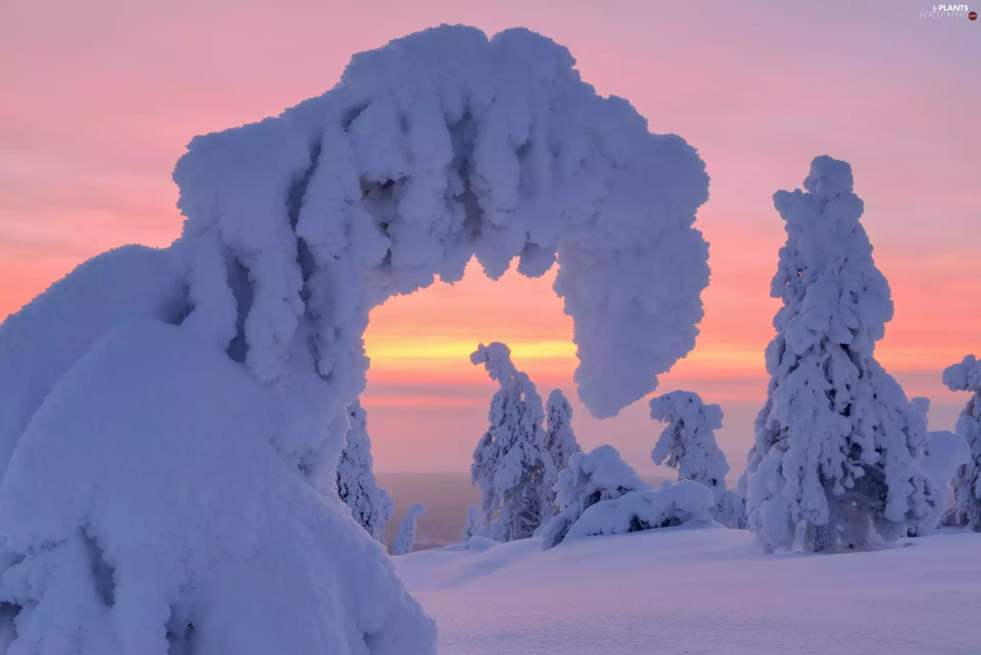 Sunrise, winter, trees, viewes, Snowy, morning