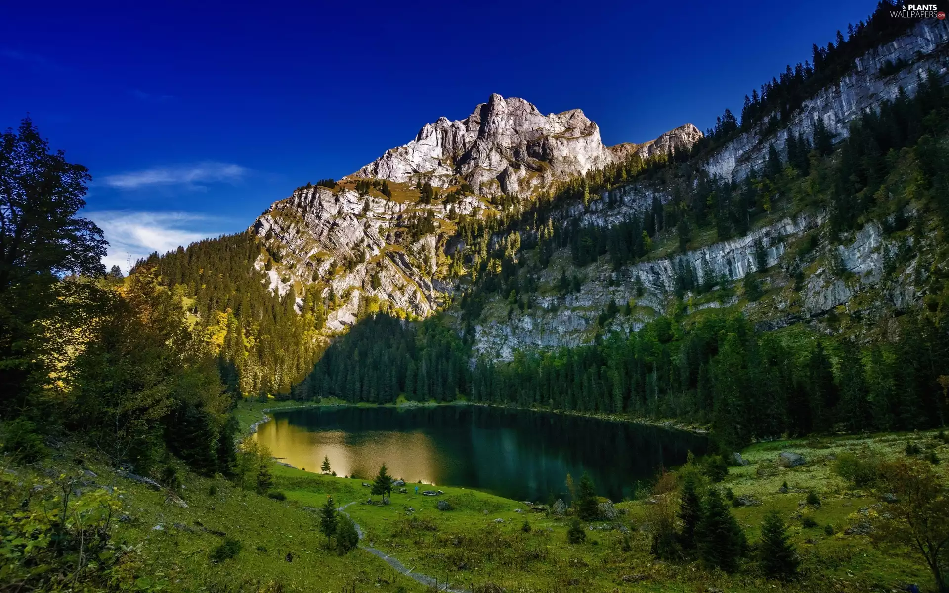 lake, Switzerland, trees, viewes, Oltschiburg Mountain