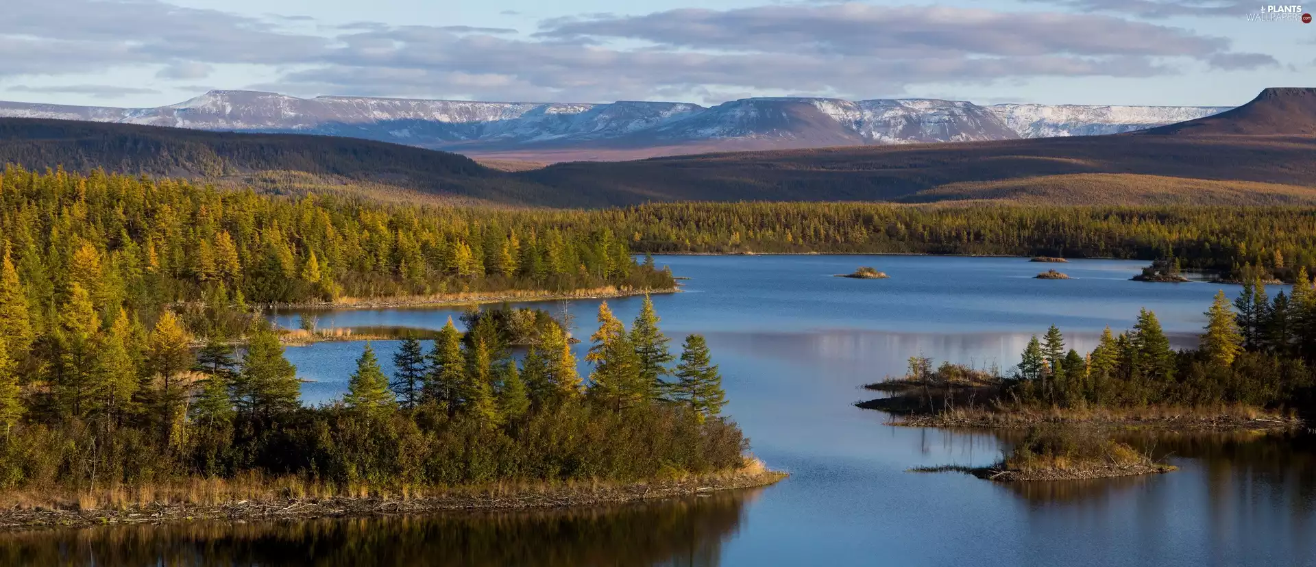 Mountain Lake, trees, viewes