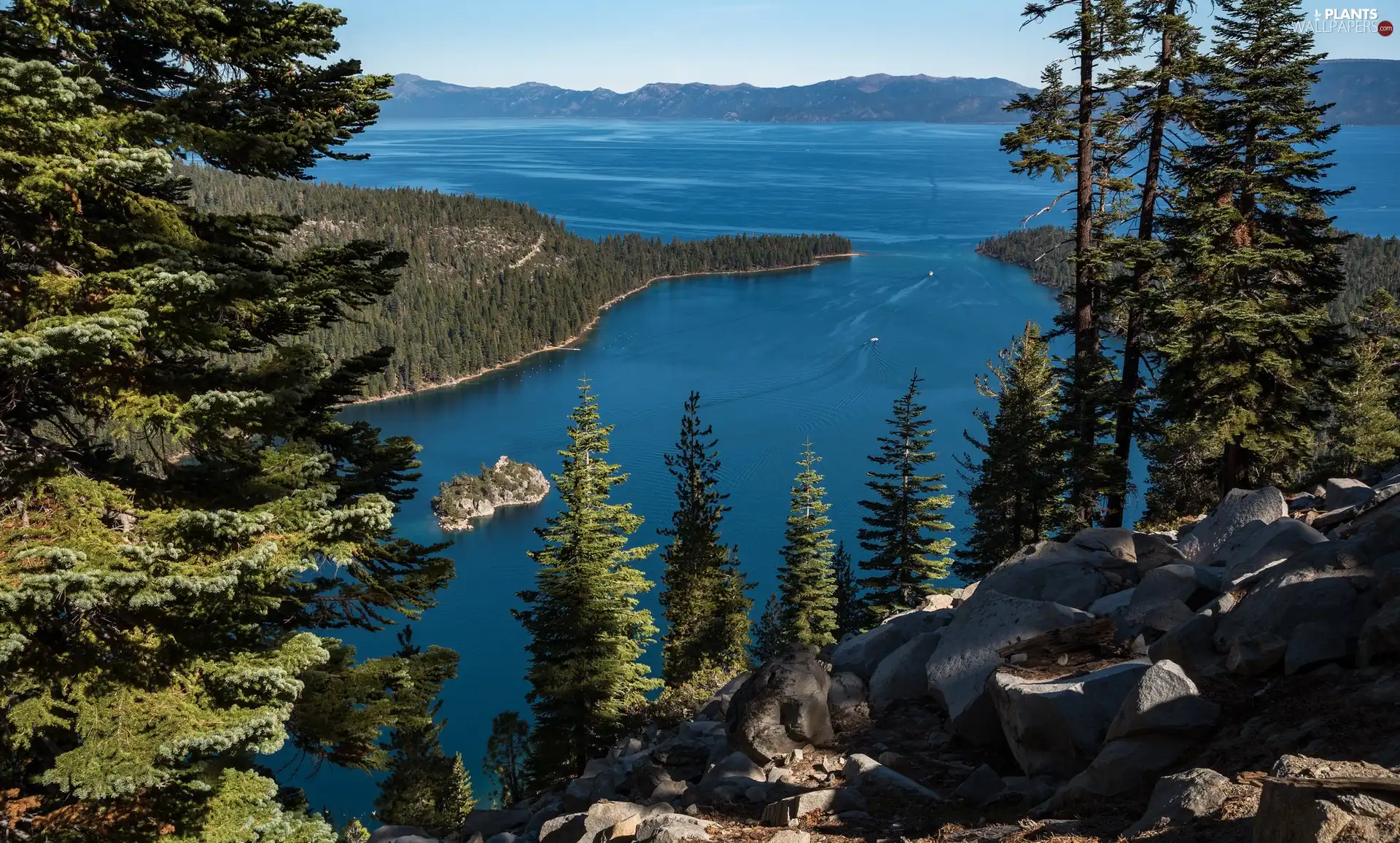 green ones, Mountains, viewes, rocks, trees, lake