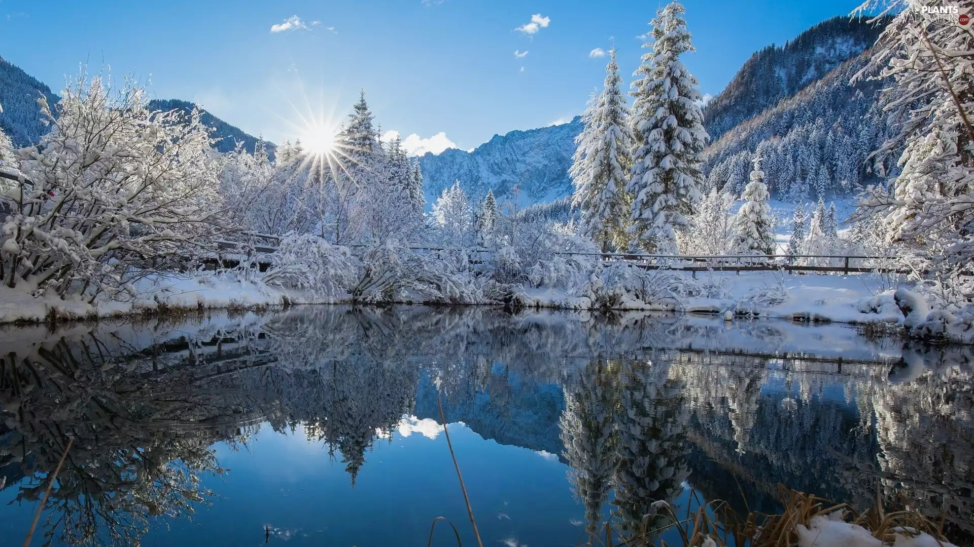 viewes, lake, rays of the Sun, trees, winter, Mountains, reflection