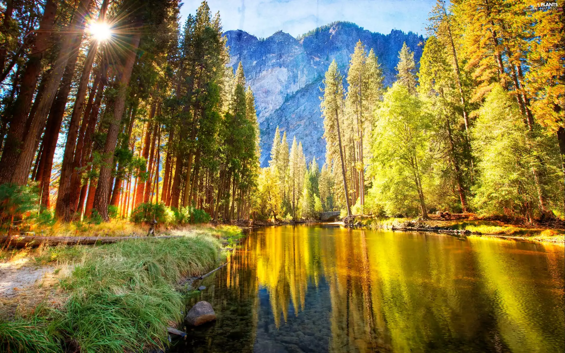 trees, viewes, Mountains, autumn, River