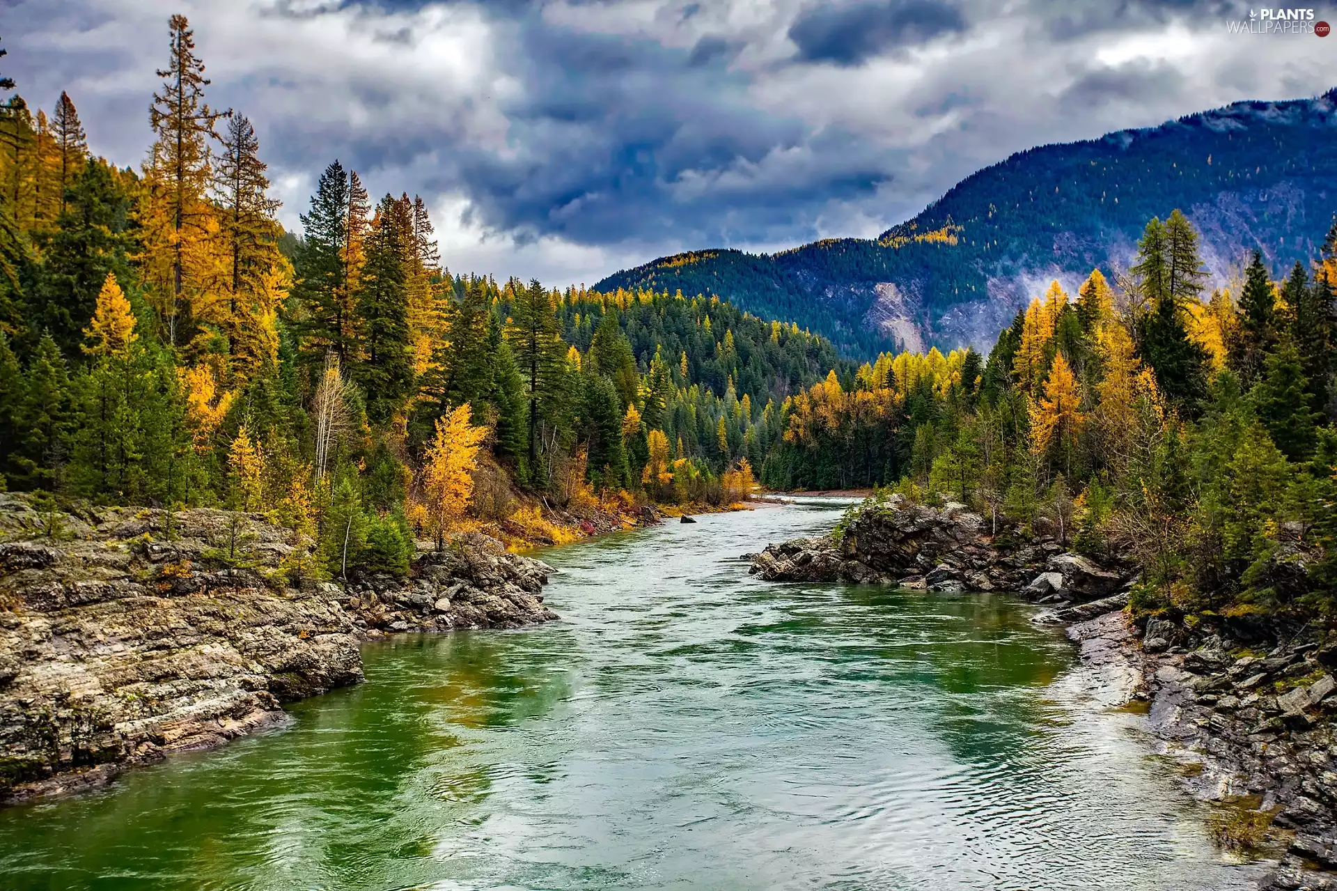 trees, viewes, Mountains, forest, River