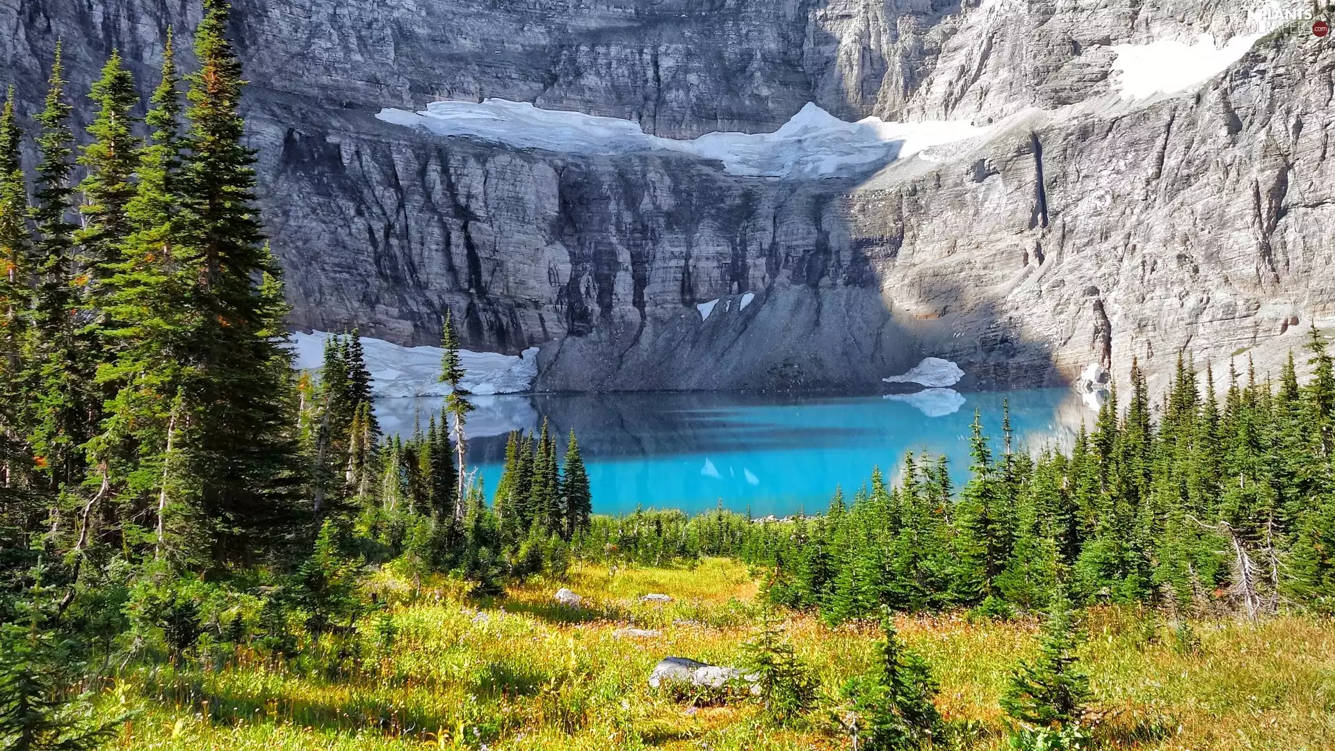 trees, viewes, Mountains, lake, Rocky