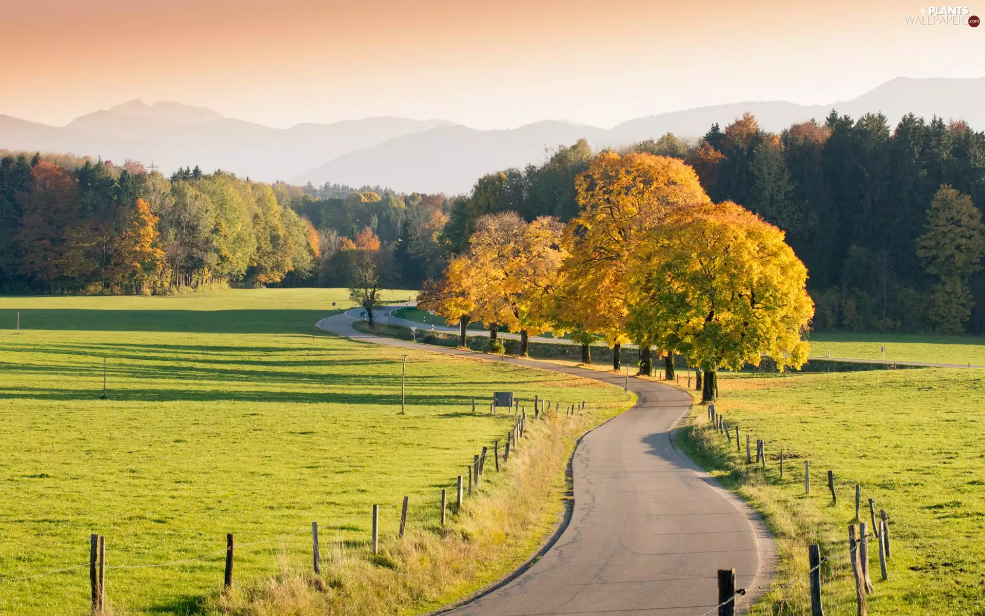medows, trees, Mountains, viewes, Way, woods, autumn