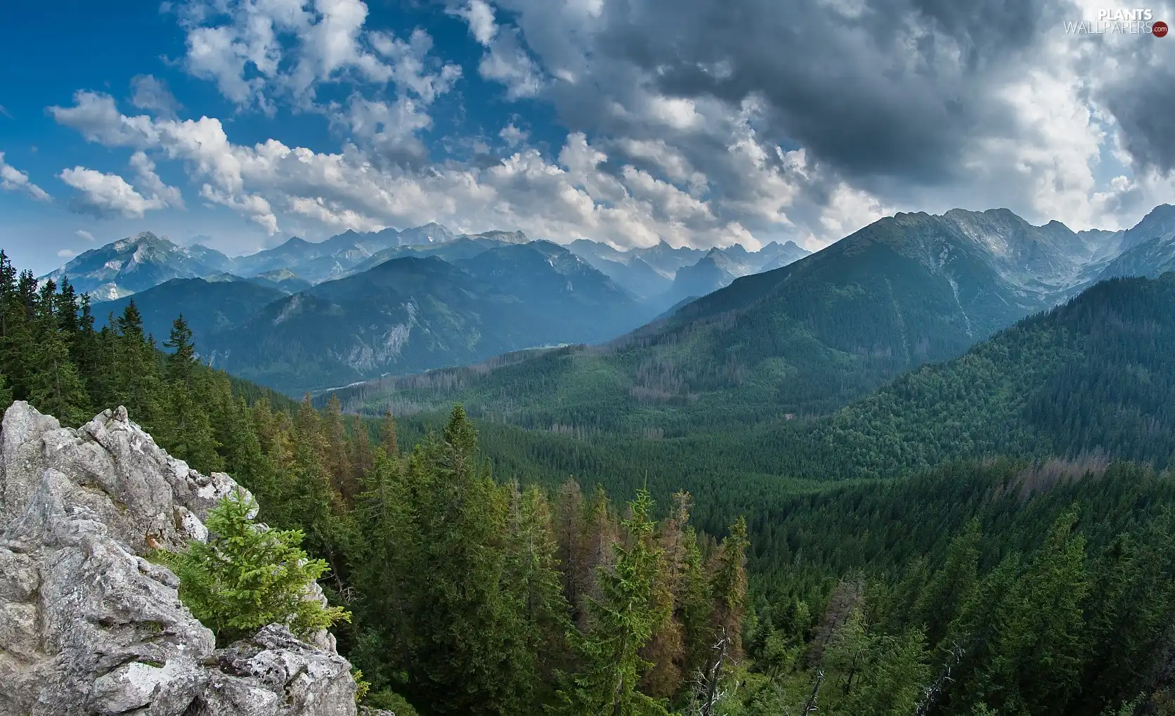 Mountains, trees, viewes, clouds