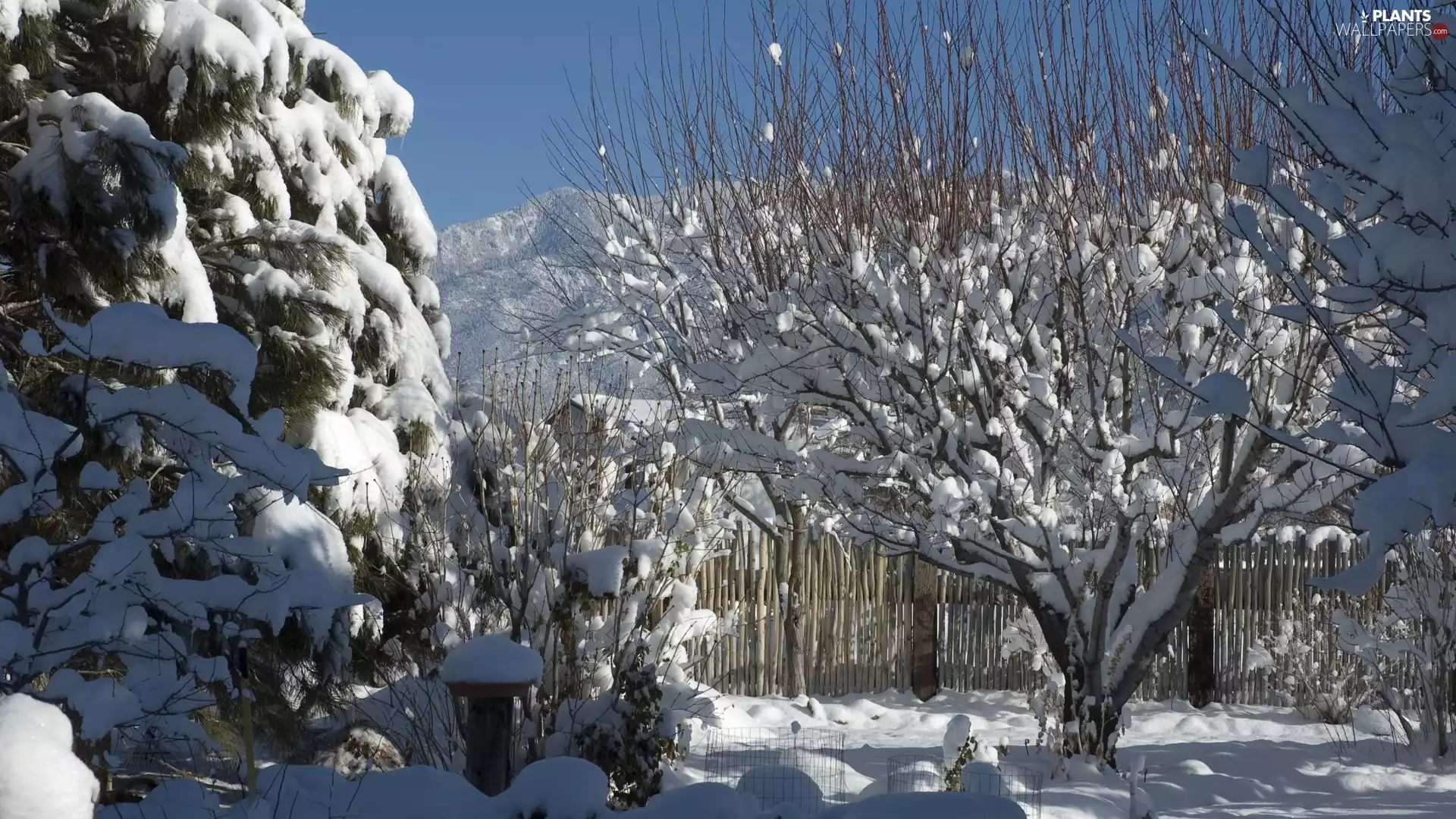 house, winter, trees, viewes, Fance, Mountains