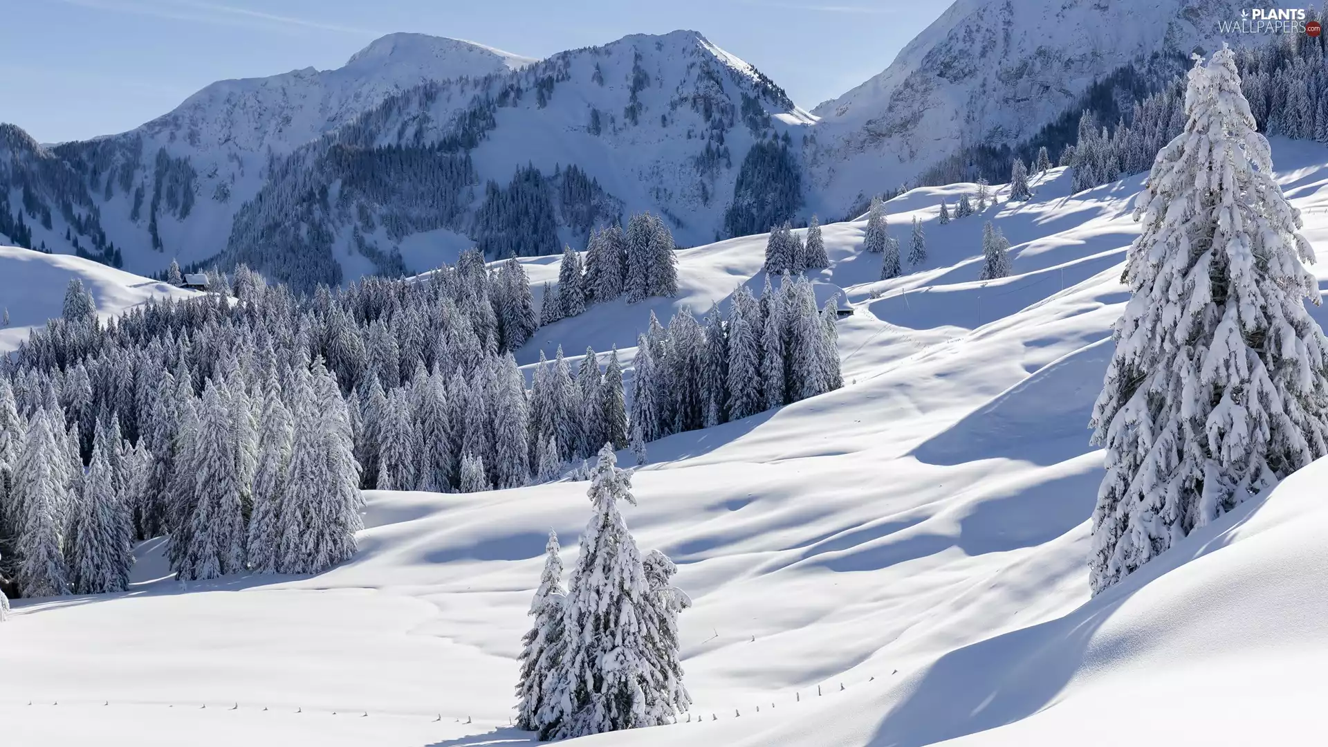 Houses, winter, trees, viewes, Snowy, Mountains