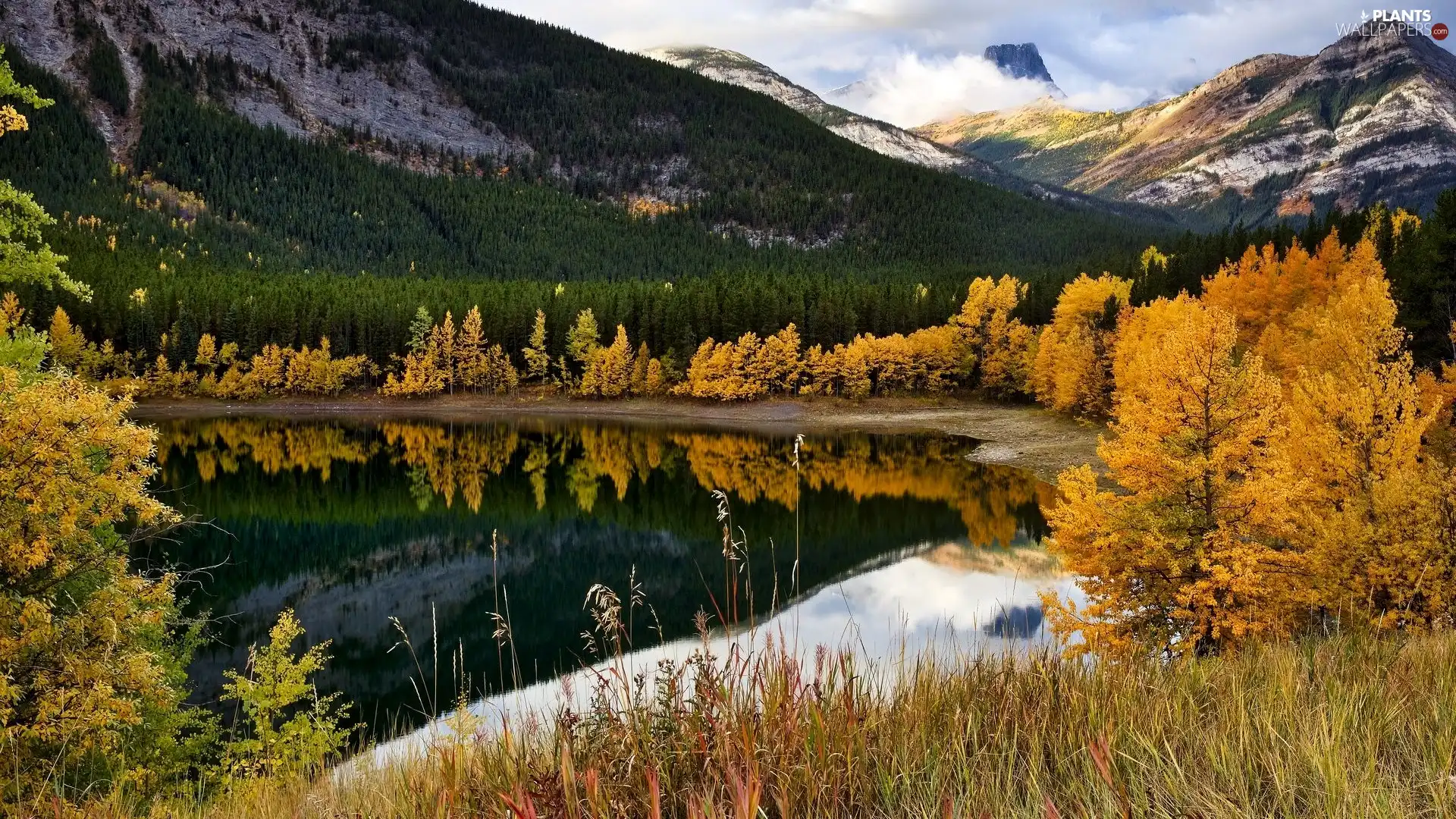 lake, autumn, trees, viewes, grass, Mountains