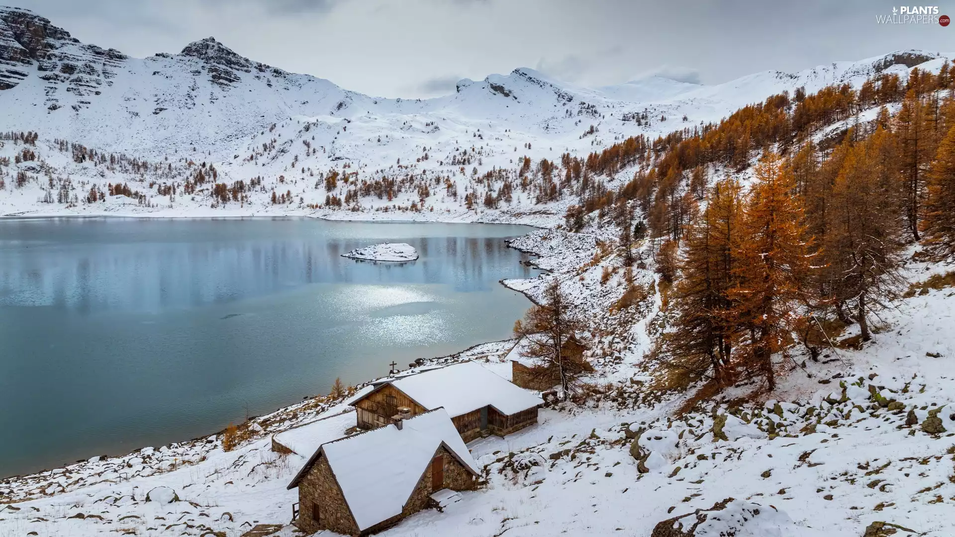 lake, winter, trees, viewes, Houses, Mountains