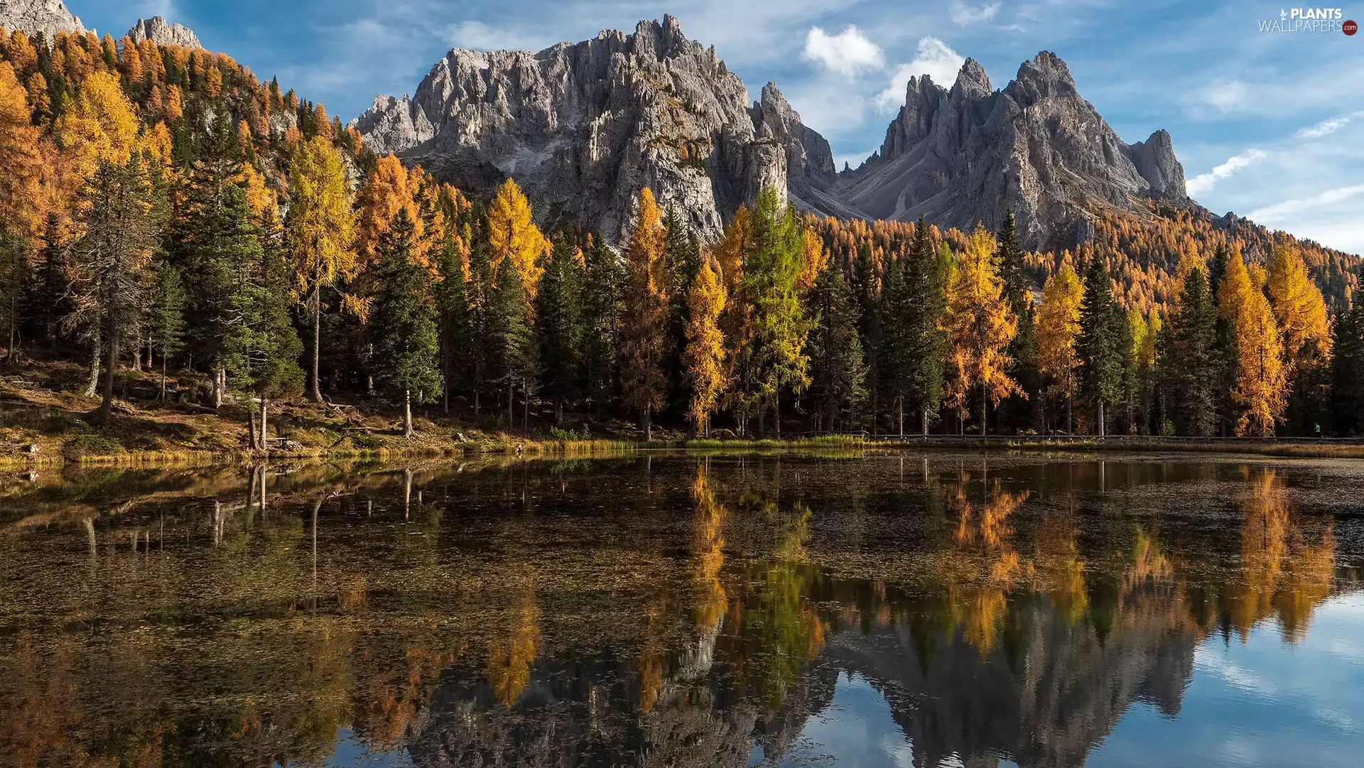 reflection, autumn, trees, viewes, lake, Mountains