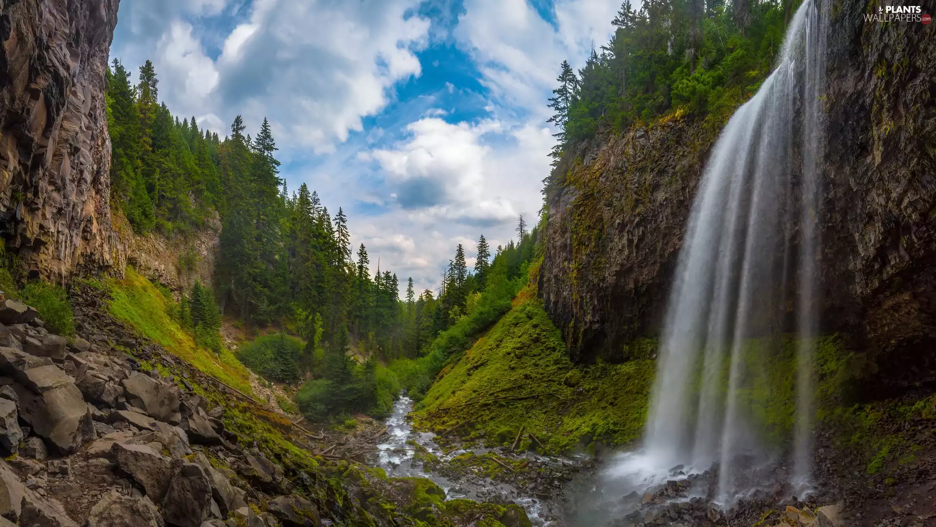 rocks, waterfall, trees, viewes, River, Mountains