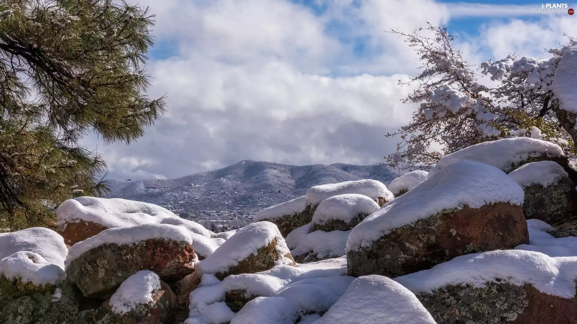 Snowy, winter, trees, viewes, Stones, Mountains