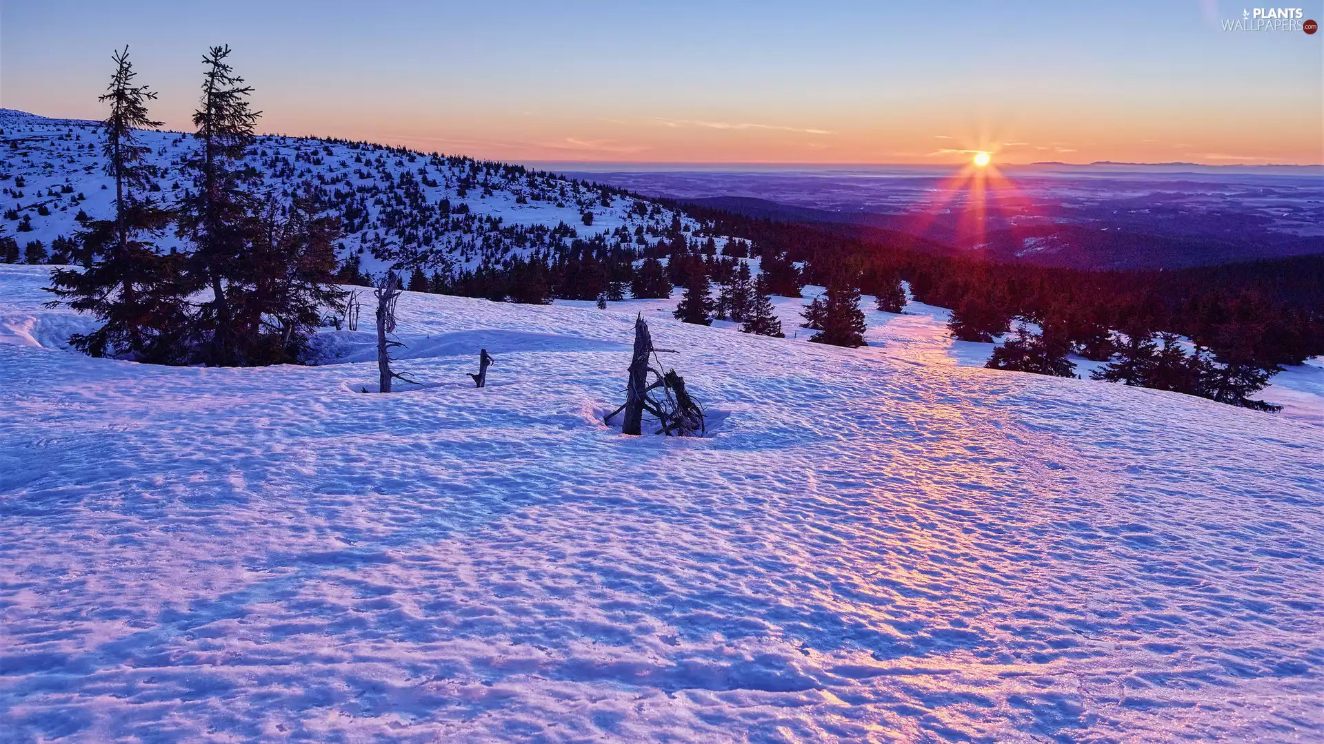 trees, viewes, Mountains, Sunrise, winter