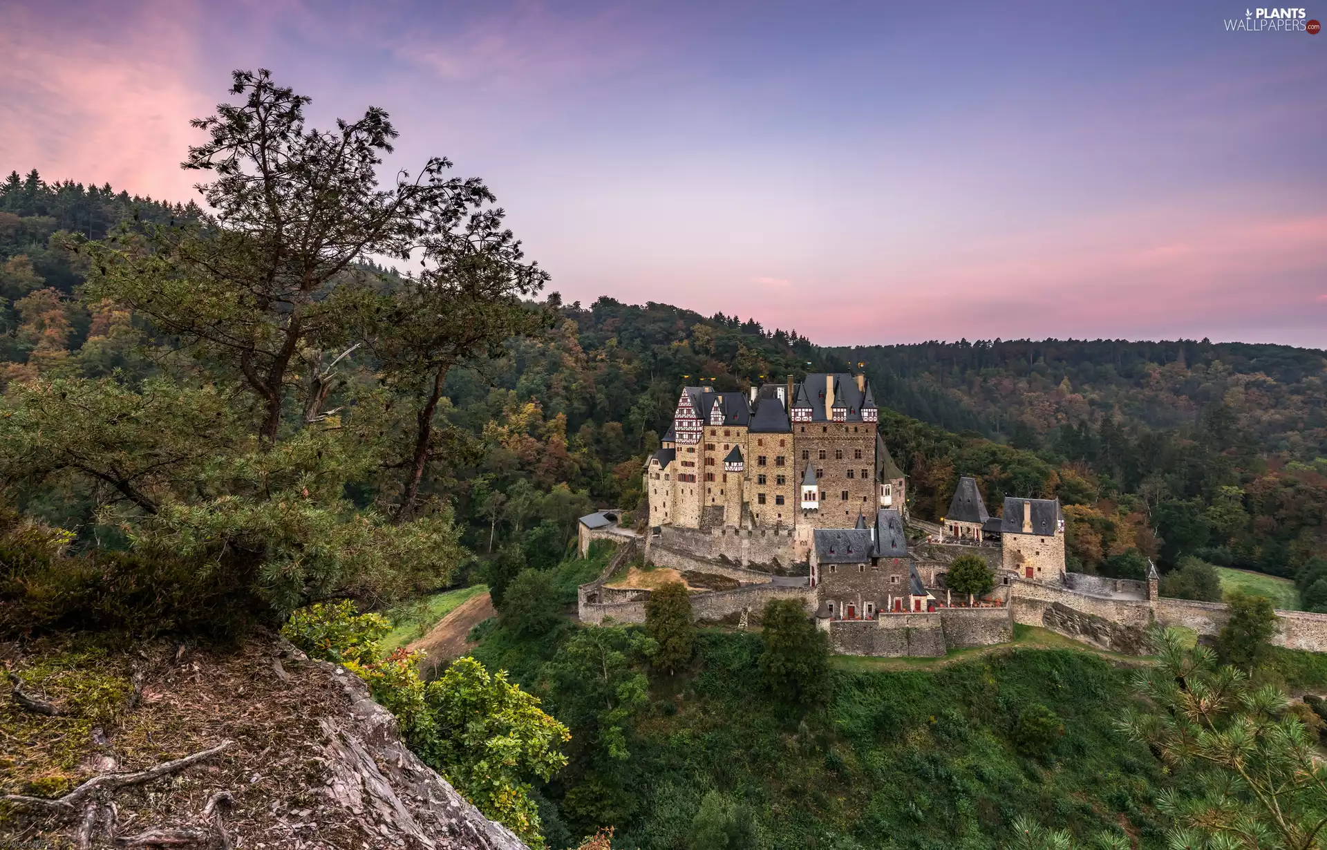 viewes, Eltz Castle, Rhineland-Palatinate, Germany, Municipality Wierschem, trees